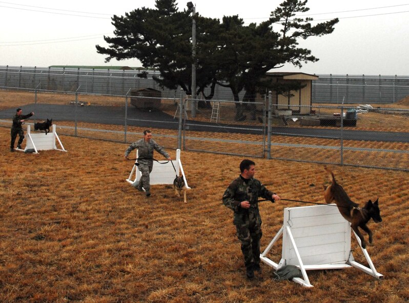 KUNSAN AIR BASE, South Korea -- Members of the Kunsan Air Base K-9 unit run their dogs through an obstacle course at the new renovated military working dog facility here Dec. 28.  The 8th Security Forces Squadron K-9 unit train and work side-by-side with K-9s as part of their duties.  (U.S. Air Force photo / Tech. Sgt. Quinton T. Burris)