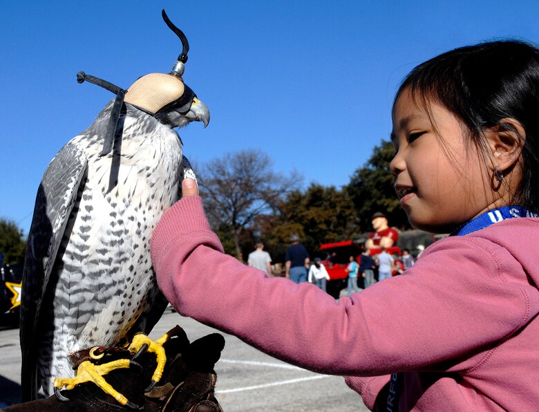 Janeiyah Cajudoy, 4, pets Destiny, an Air Force Academy Falcon mascot on display during pre-game activities Dec. 30 before the Bell Helicopter Armed Forces Bowl game in Fort Worth, Texas, between the Academy Falcons and the University of California-Berkley. (U.S. Air Force photo/Staff Sgt. Bennie J. Davis III)