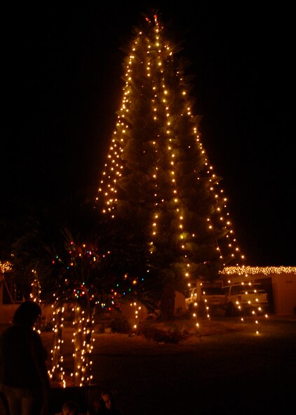 Andersen members veiw a Christmas tree located in the yard of Brig. Gen. Douglas Owens, 36th Wing commander, during the annual Rota Walk event Dec. 22.  This event brings the Andersen community together for the Christmas holiday. (U.S. Air Force photo/Airman 1st Class Zachary Hunter)