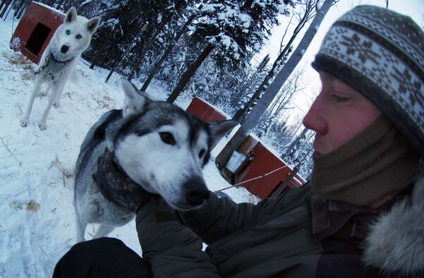 EIELSON AIR FORCE BASE, Alaska-- Maj. Blake Matray, 168th Air Refueling Wing KC-135 pilot, inspects the lead dog, Elko, of his 27 Siberian husky team before preparing the team for practice.  Major Matray operates the Sled Dog Fund, Inc., a non-profit organization which uses dog sledding racing events to promote awareness and raise funds for disabled children. (U.S Air Force photo by Staff Sgt Eric T. Sheler)
