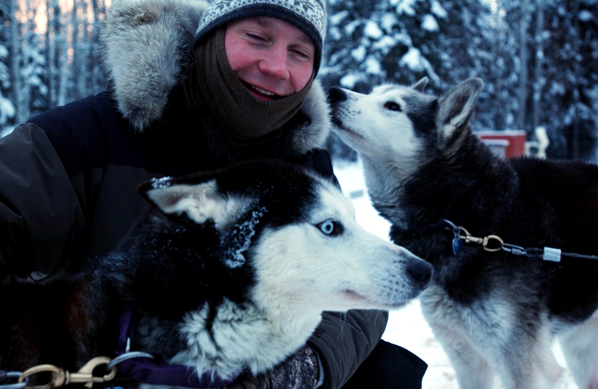 Maj. Blake Matray enjoys a playful moment with his racing sled dogs Whit (left) and Boomer (right) before preparing them for practice Jan. 10 in Alaska. Major Matray operates the Sled Dog Fund, Inc., a non-profit organization which uses dog sledding racing events to promote awareness and raise funds for disabled children.  He is a 168th Air Refueling Wing KC-135 Stratotanker pilot at Eielson Air Force Base, Alaska. (U.S Air Force photo/Staff Sgt Eric T. Sheler) 
