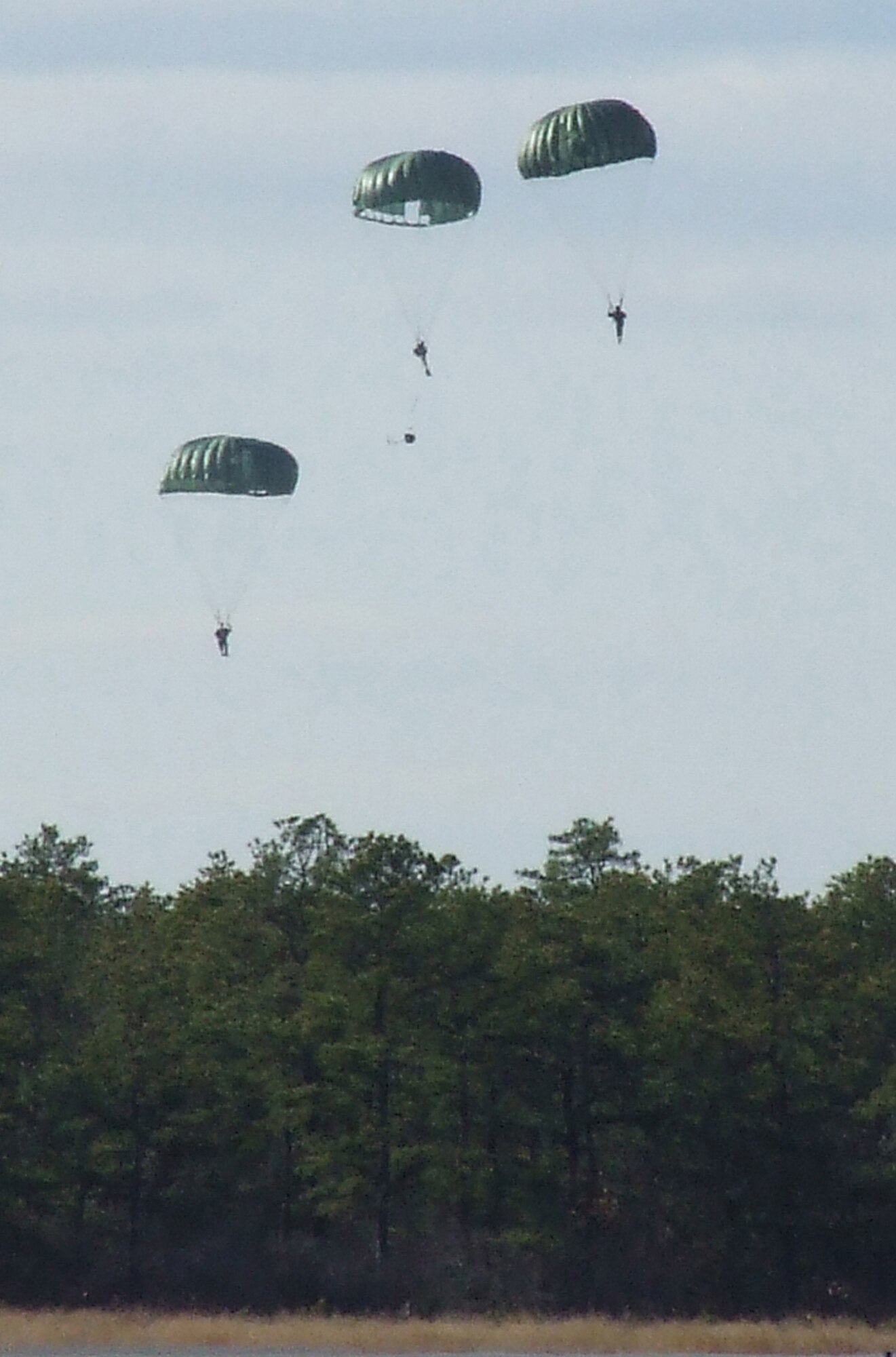 Soldiers from the 404th Civil Affairs Battalion, Fort Dix, N.J., parachute over Naval Air Engineering Station Lakehurst, N.J., as part of an event for Air Force Exercise Eagle Flag 08-2 Jan. 16.  The effort was for a joint operations event for the exercise.  The exercise is operated by the U.S. Air Force Expeditionary Center's 421st Combat Training Squadron at Fort Dix.  (U.S. Air Force Photo/Tech. Sgt. Scott T. Sturkol)