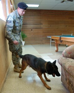 SOTO CANO AIR BASE, Honduras – Air Force Staff Sgt. Staff Sgt. Eduard Morales encourages Tommy, a three-year old Belgian Malinois, who has just pointed out the location of drugs placed by his trainers during a training exercise at the library here Jan. 15.  (U.S. Air Force photo by Staff Sgt. Austin M.May)
