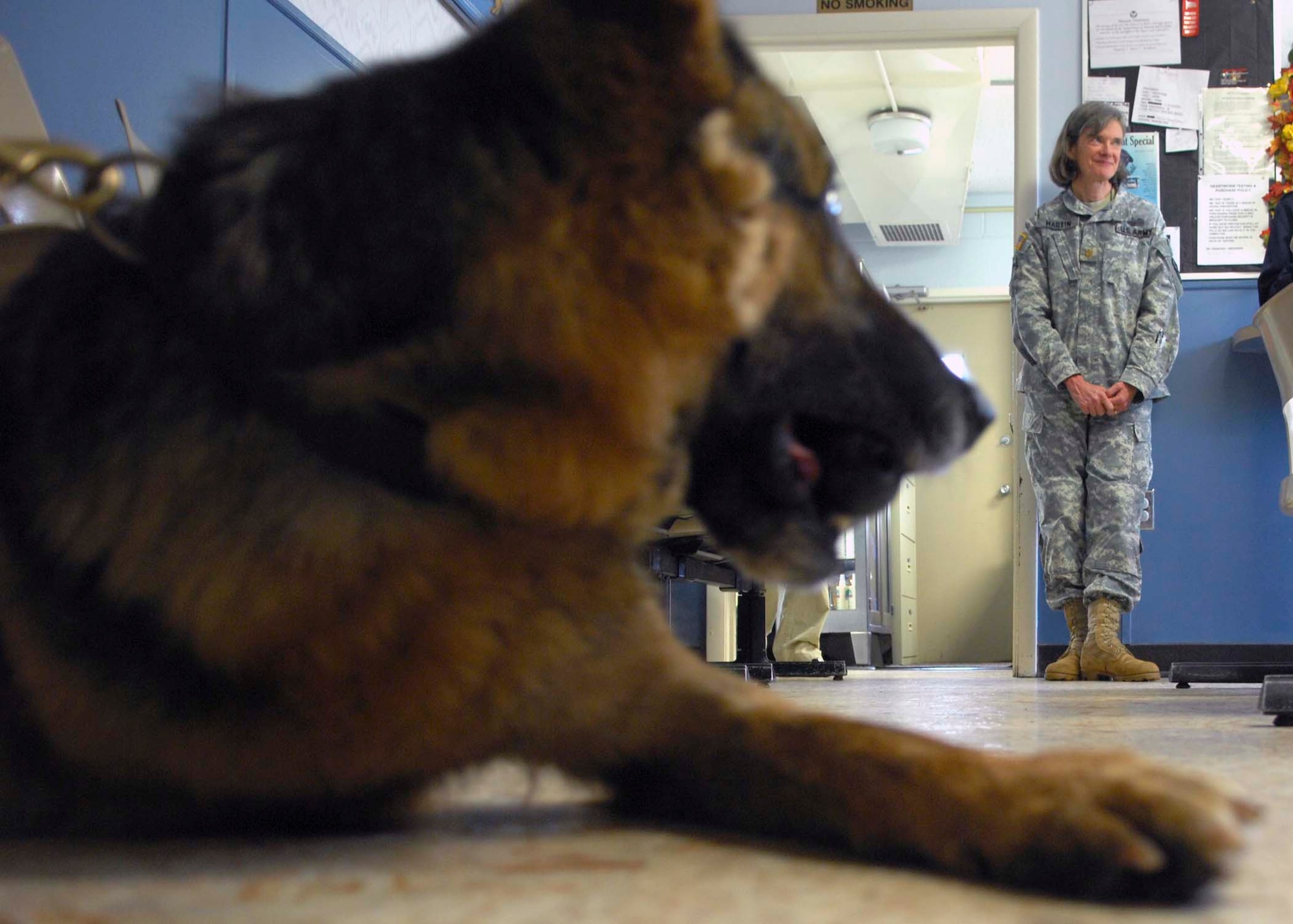 SHAW AIR FORCE BASE, S.C.-- Army Major Bonnie Martin, Fort Jackson Veterinarian Services chief, adopts Zeus, former 20th Security Forces Squadron military working dog, at the Shaw veterinary clinic Jan. 17. Zeus had to end his military service when his front right leg had to be amputated due to an accident.  (U.S. Air Force photo/A1C William Coleman)