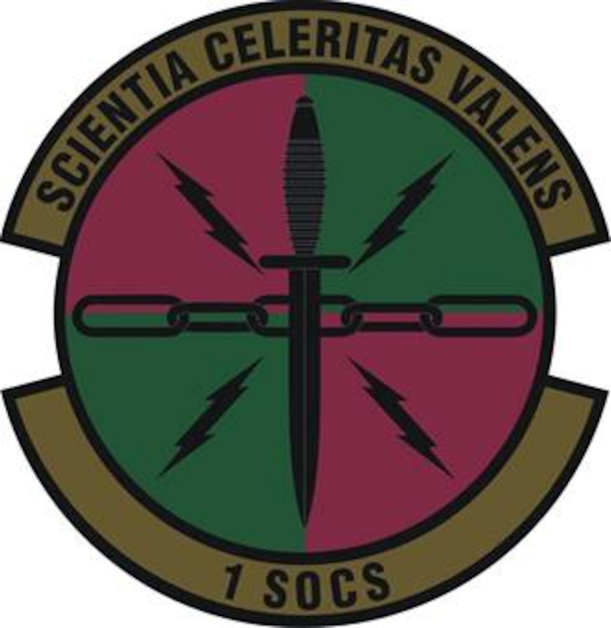 1st Special Operations Communications Squadron subdued emblem