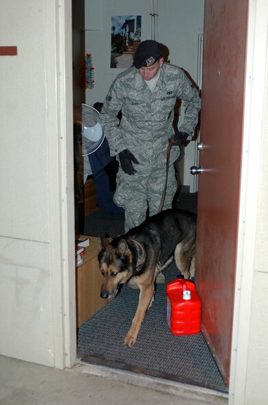A member of the 60th Security Forces Squadron K-9 unit finishes inspecting a dorm room during Operation Nighthawk. The inspection was part of a Health, Morale and Welfare check with feedback to leadership on the status and activities of members of the installation, their families and visitors to the base. (U.S. Air Force photo/Tech. Sgt. Donald Osborn)