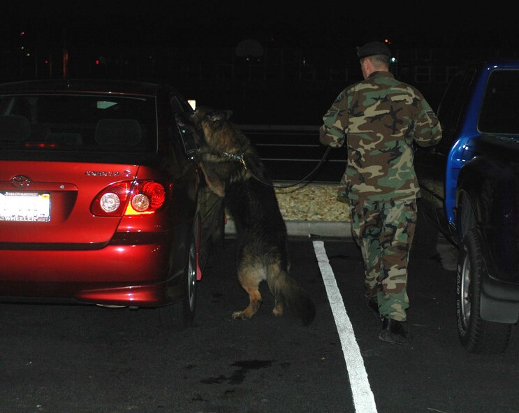 A member of the 60th Security Forces Squadron’s K-9 unit performs a Health, Morale and Welfare check on a vehicle at the Visitor Center as part of Operation Nighthawk Jan. 19. (U.S. Air Force photo/Tech. Sgt. Donald Osborn)
 
