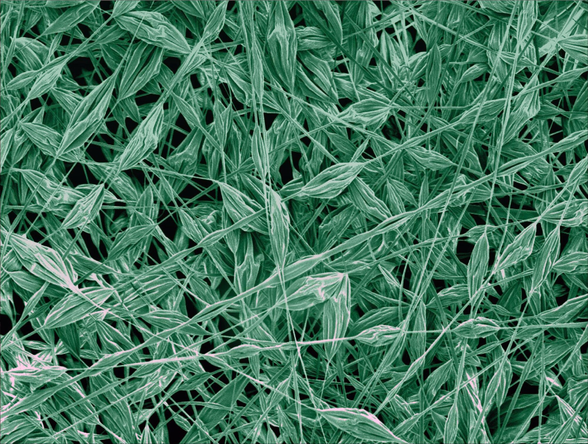 Air Force Office of Scientific Research officials are funding investigations into super oil repellent sufaces. This graphic shows the magnification of FluoroPOSS microfiber, which is water and oil repellent. It is typically up to 5 microns in diameter, or one-twentieth the diameter of a human hair. (Courtesy image) 
