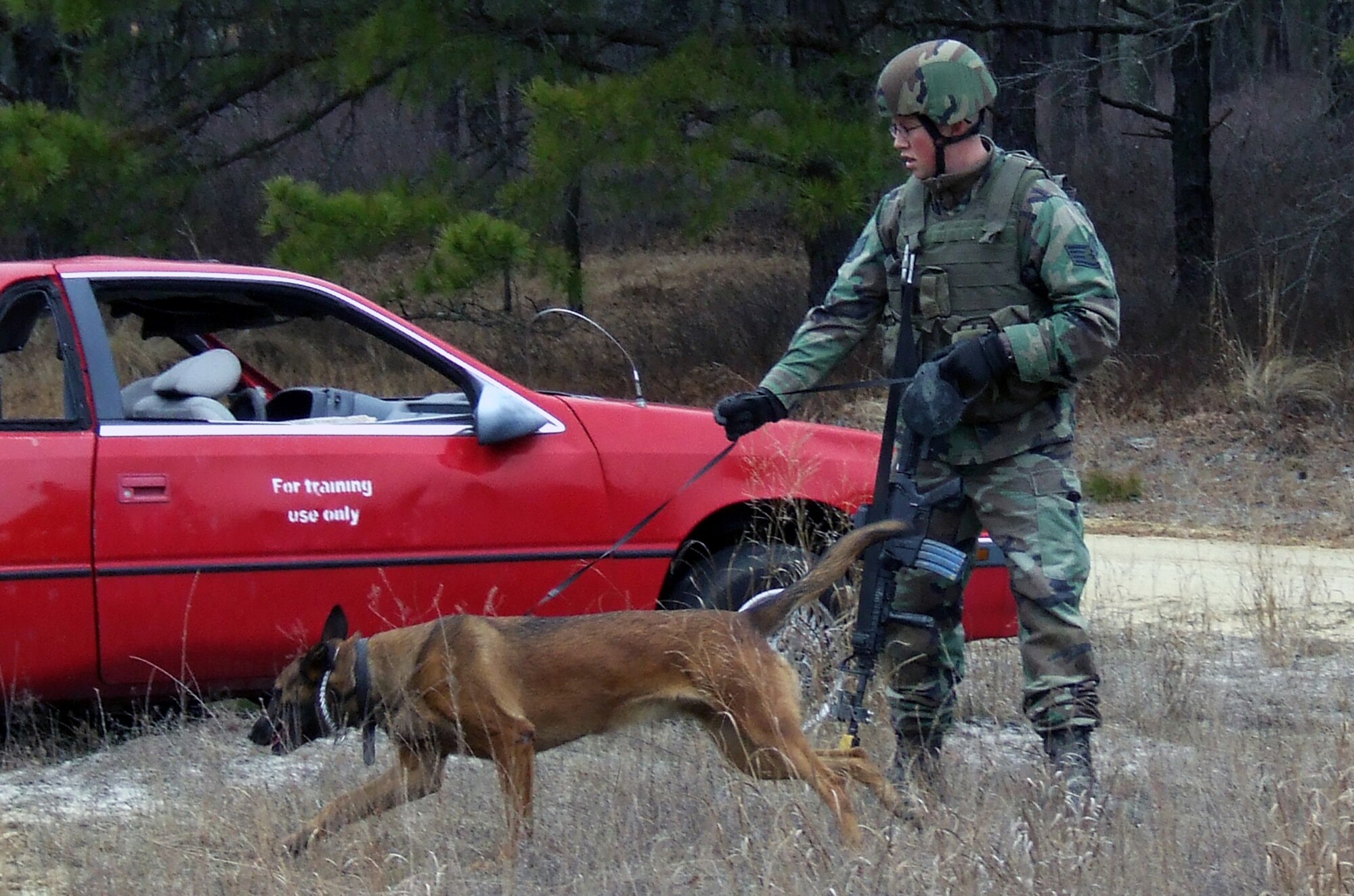 Staff Sgt. Thomas Meador and his military working dog, Ikka, both students in the Air Force Phoenix Warrior Course 08-2 from the 437th Security Forces Squadron at Charleston Air Force Base, S.C., practice a scenario during training at Naval Air Engineering Station Lakehurst, N.J., Jan. 17.  The course is operated by the U.S. Air Force Expedtionary Center's Expeditionary Operations School and 421st Combat Training Squadron.  (U.S. Air Force Photo/Tech. Sgt. Scott T. Sturkol)