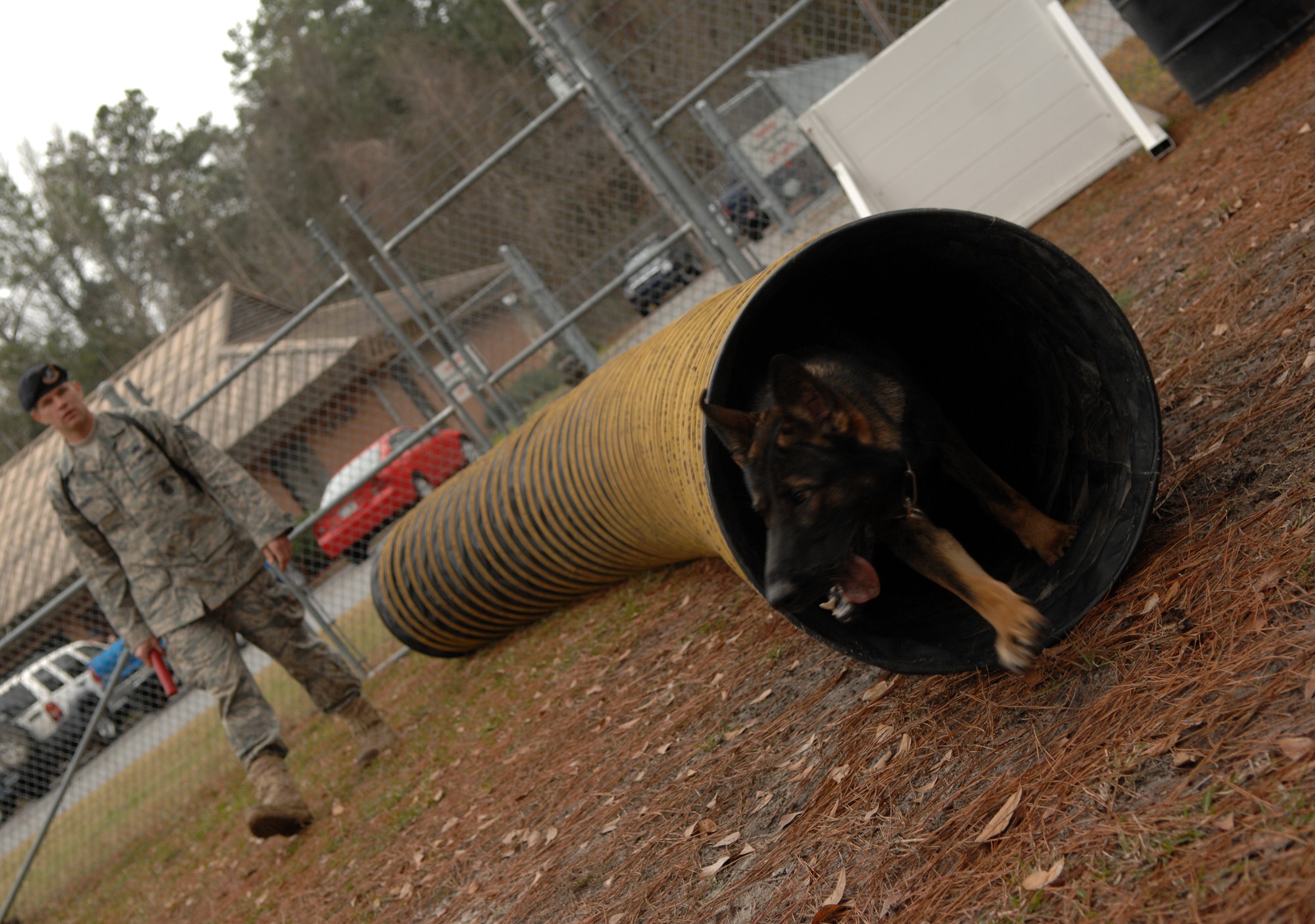 MOODY AIR FORCE BASE, Ga. -- Tech. Sgt. Timothy Kaluza waits for Military Working Dog Falco to complete an obstacle during training Jan. 23 here. Kaluza is a military working dog handler with the 23rd Security Forces Squadron. (U.S. Air Force photo by Airman 1st Class Gina Chiaverotti)