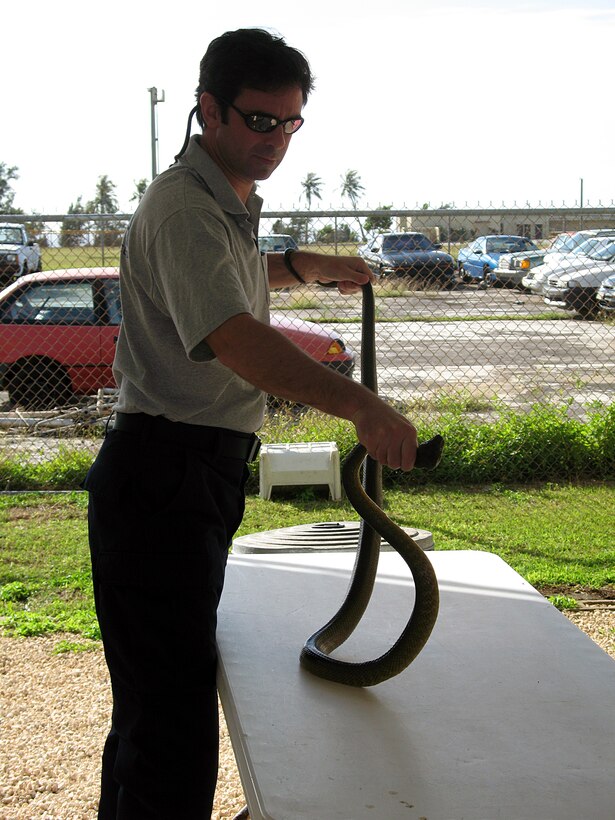 Marc Hall, Supervisory Wildlife Biologist of the United States Department of Agriculture, holds a large brown tree snake for display. The USDA on Andersen captures brown tree snakes on and around the flight line, the munitions storage areas and base housing by using traps, canine inspections, and spotlighting. (U.S. Air Force photo/Airman1st Class Carissa Morgan)
