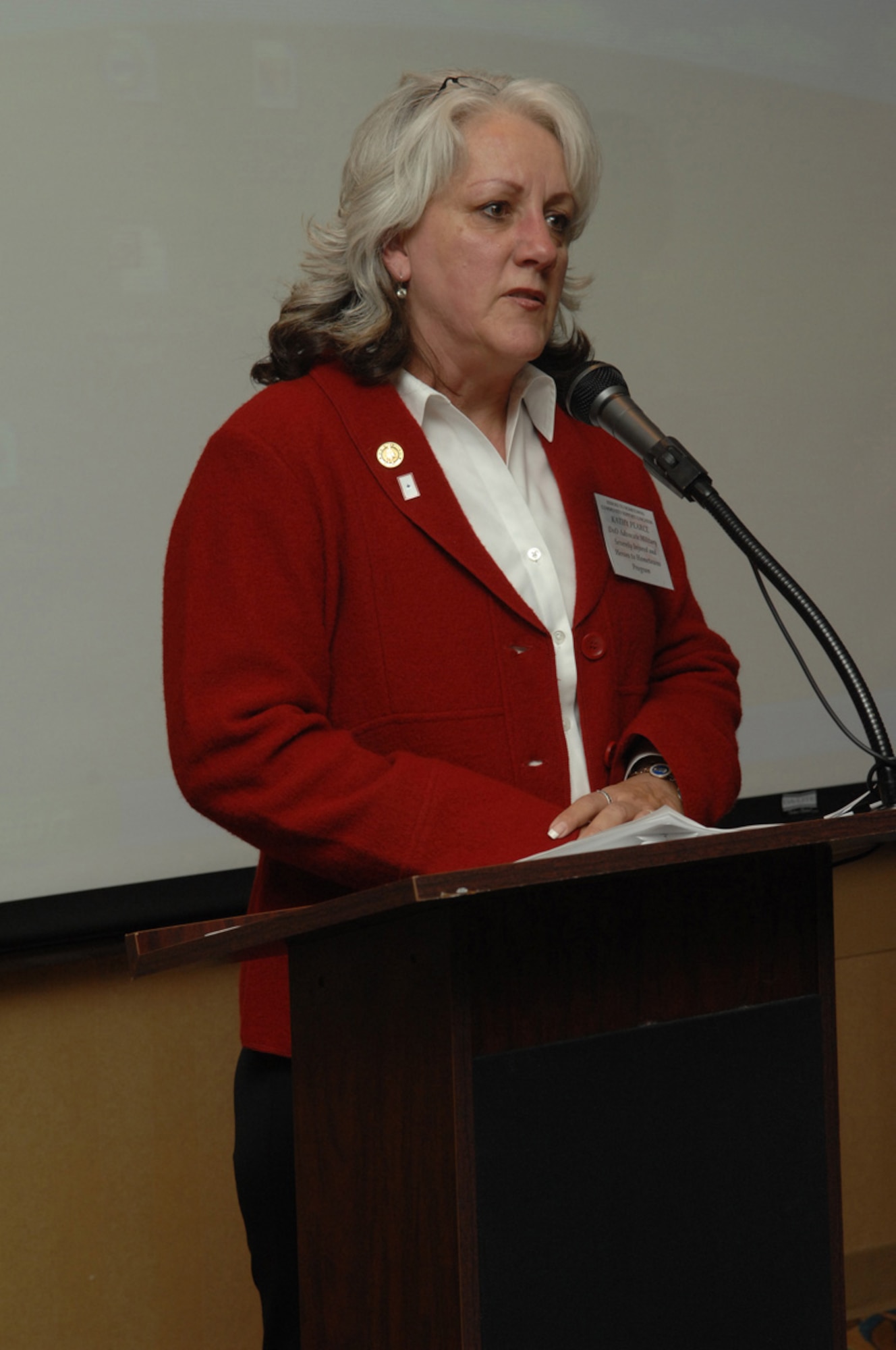 Kathy Pearce, Heroes to Hometowns program coordinator, educates and informs the audience about the program Jan. 29 at Davis-Monthan's Officers' Club. The Heroes to Hometowns program honors the sacrifice of severely injured servicemembers and assists them in establishing long-term state and local networks for support. (U.S. Air Force photo by Airman 1st Class Melissa Copeland)