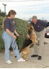 Barbara Stadts, adoption coordinator at the 341st Training Squadron on Lackland AFB, Texas, watches while Jenny kisses her new owner, John Yarborough. Mr. and Mrs. Yarborough flew in from the Phoenix area to adopt Jenny. (USAF photo by Alan Boedeker)                          