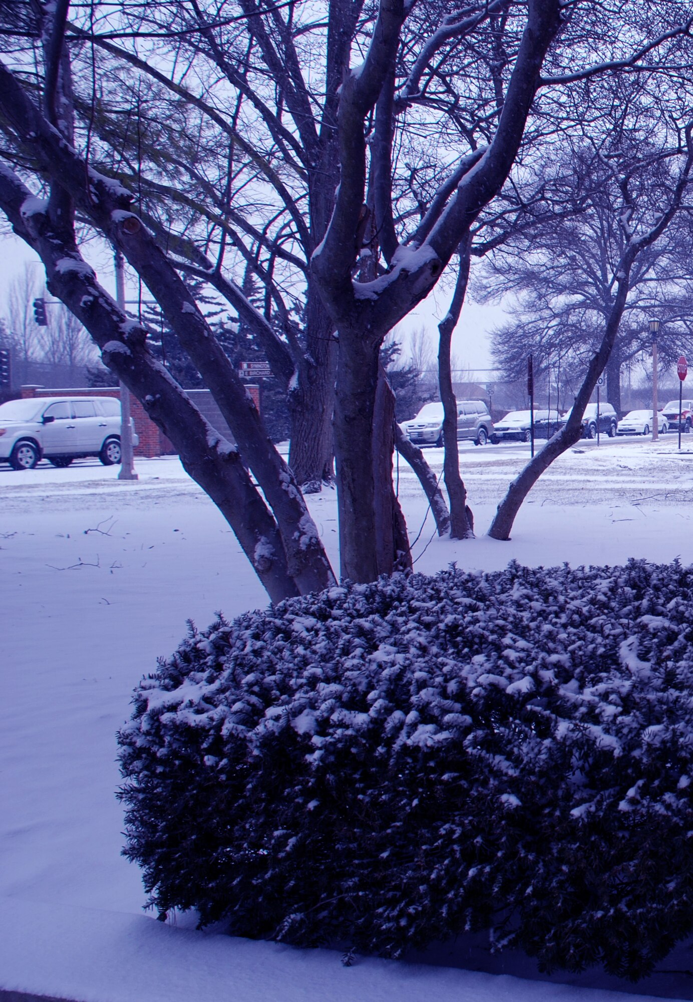 First snowfall of 2008 comes down Thursday afternoon.  Forecasters expect more tonight.  Stayed tuned to your local news channels for updates!