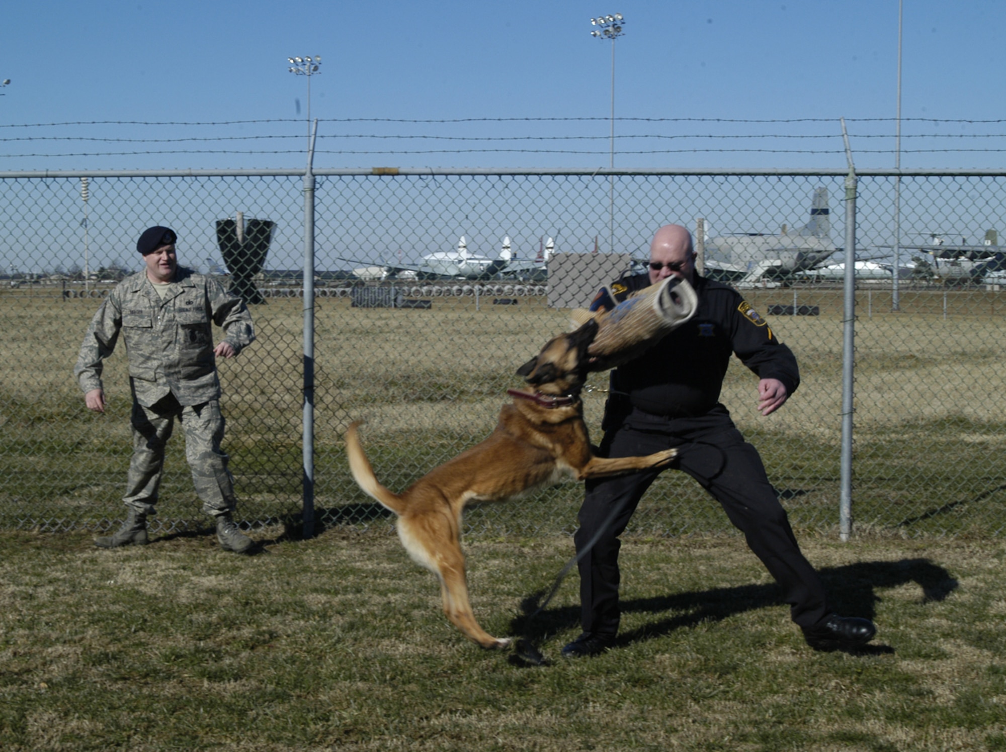 Staff Sgt. Scott Yeager, 436th Security Forces Squadron military working dog handler, oversees his MWD Renzo attack the bite sleeve worn by Deputy 1st Class Dennis Taylor, Wicomico County Sheriff’s Office, for a public demonstration Jan. 23. The event was designed to give the local media a glimpse of what the dogs can do. (U.S. Air Force photo/Airman 1st Class Shen-Chia Chu)