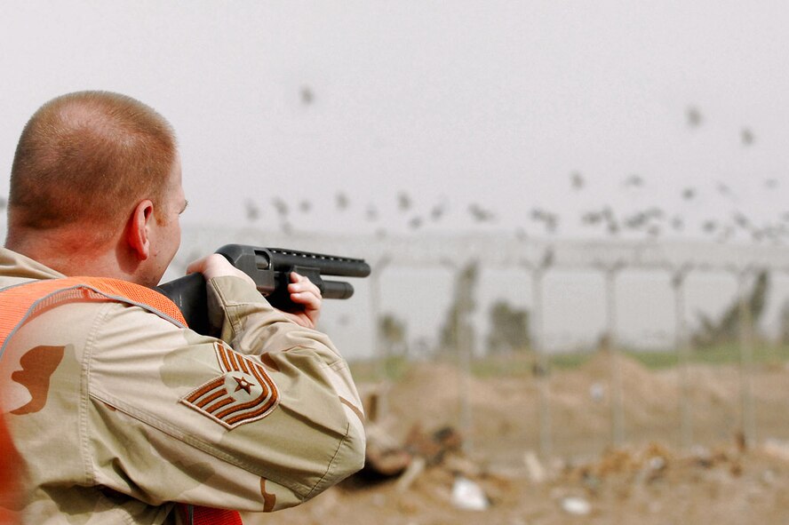 Taking aim at a group of gulls at Balad AB, Iraq,Tech Sgt. David Young of the 332nd Air Expeditionary Wing safety office says killing some of the birds becomes necessary to protect pilots and aircraft. Collisions between flying birds and aircraft can severely damage aircraft and endanger the lives of pilots (U.S. Air Force photo by Senior Airman Julianne Showalter)
