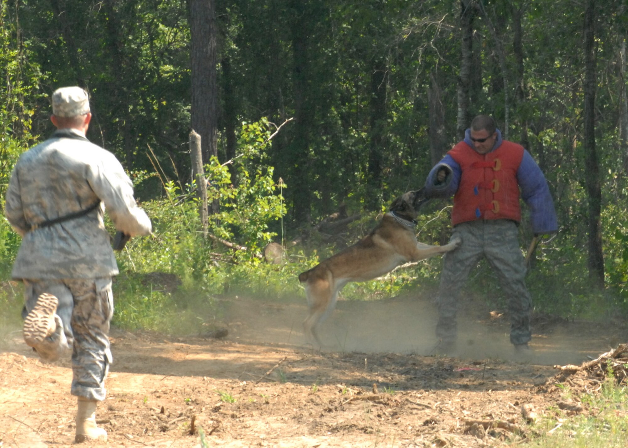 MOODY AIR FORCE BASE, Ga. – Staff Sgt. Jack Carr, 823rd Security Forces Squadron military working working dog handler, runs to his partner Argo, a German Shepherd, after apprehending Senior Airman Adam Wylie, 823rd SFS MWD handler, during a sound scout exercise here June 25. Airman Wylie played a decoy by hiding in the woods and making noise to train Argo’s sense of sound for field work. (U.S. Air Force photo by Airman Joshua Green) 



