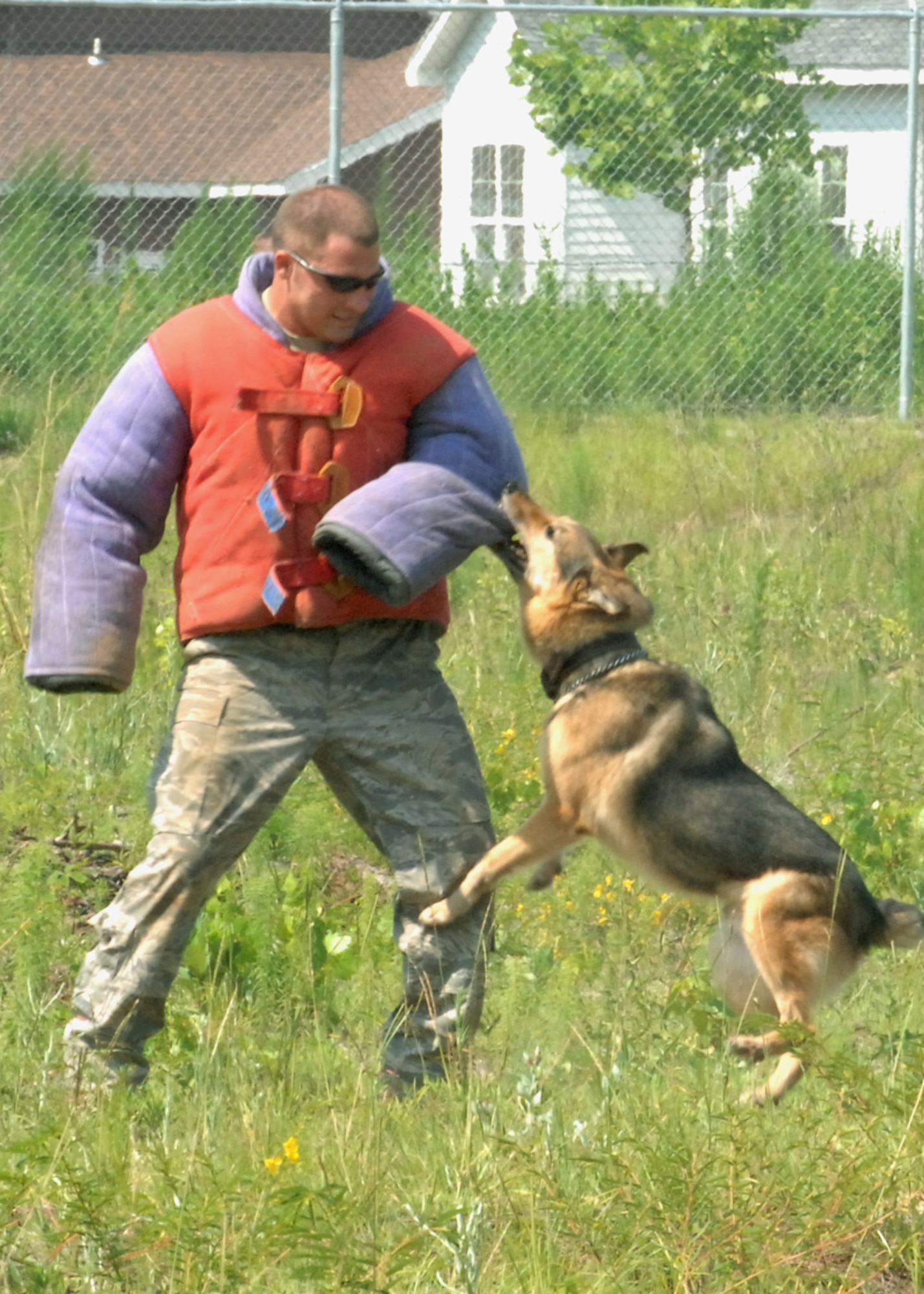MOODY AIR FORCE BASE, Ga. – Senior Airman Adam Wylie, 823rd Security Forces Squadron military working dog handler, absorbs an impact as Argo, a German Shepherd, bites down on his protective gear here June 25. Airman Wylie and Argo ran a sight scout exercise from 200 yards away to train Argo to sight targets from long distances. (U.S. Air Force photo by Airman Joshua Green) 
