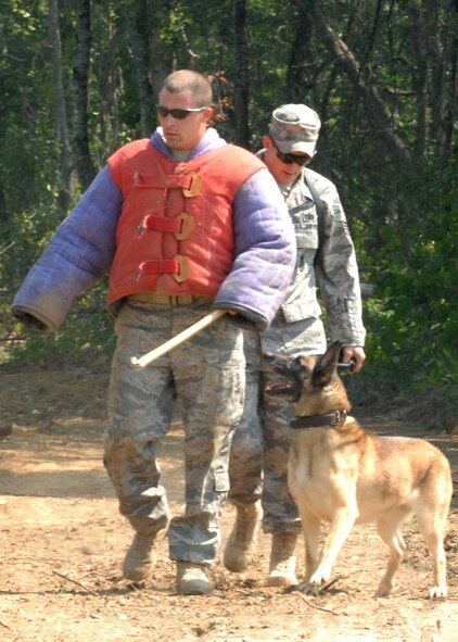 MOODY AIR FORCE BASE, Ga. – Staff Sgt. Jack Carr, 823rd Security Forces Squadron military working dog handler, and Argo, 823 SFS MWD, escort Senior Airman Adam Wylie 823 SFS WMD handler, after a scent scout exercise here June 25. Military working dogs undergo constant training to protect their partners and locate objects undetectable to human senses. (U.S. Air Force photo by Airman Joshua Green)

