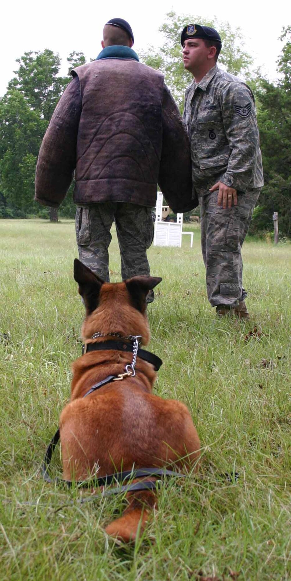 Military Working Dog Sonja watches closely for any danger while Staff Sgt. Richard Duvall conducts a simulated search. Both are with the 72nd Security Forces Squadron K-9 unit.  (Air Force photo by Jennifer D'Alessandro)