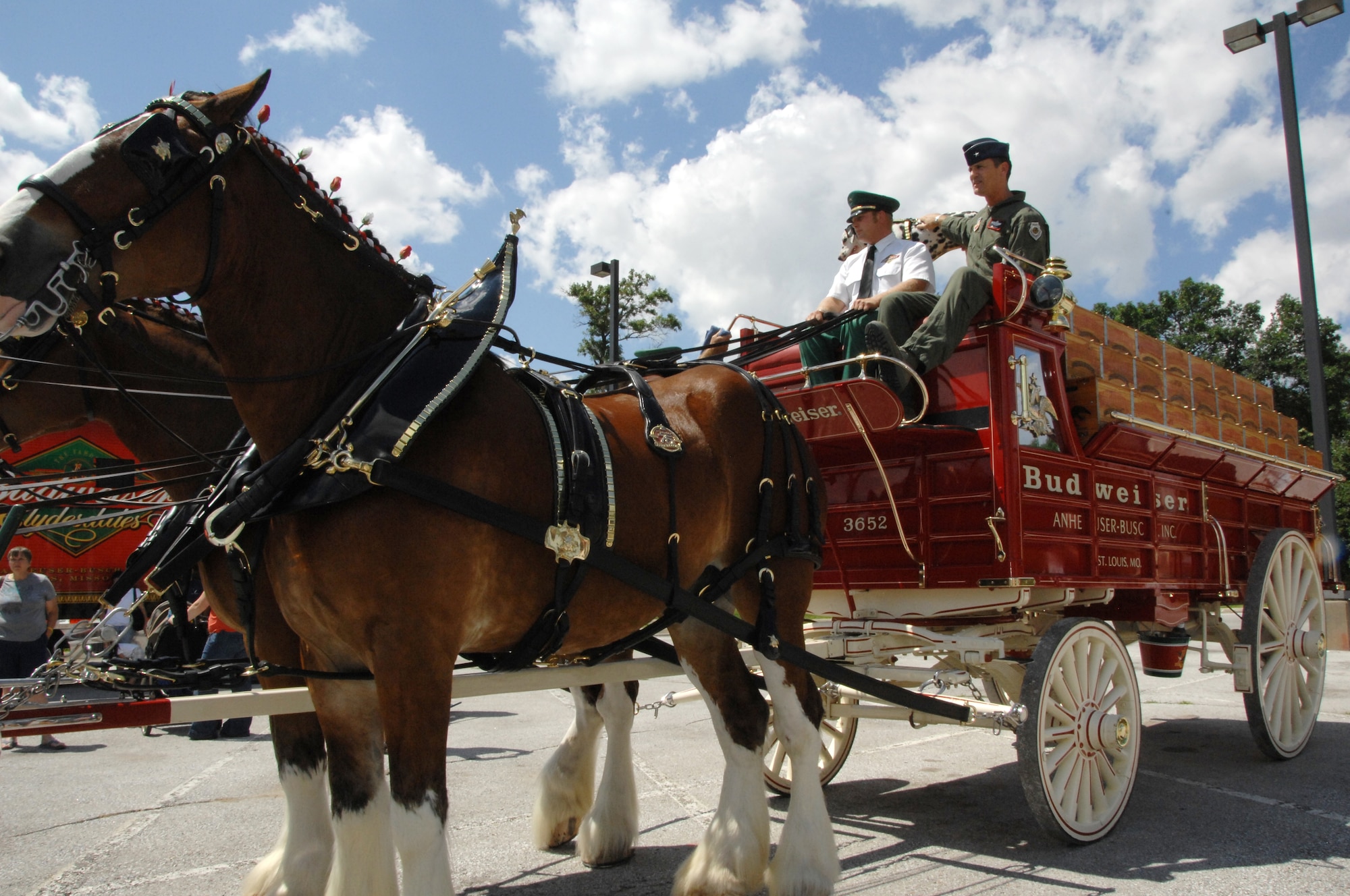 55th Wing Commander Brig. Gen. Jim Jones travels in style on a wagon pulled by the Budweiser Clydesdale horses. The Budweiser team was at Offutt as part of their effort to show support for military men and women. (U. S. Air Force Photo By/Dana P. Heard)