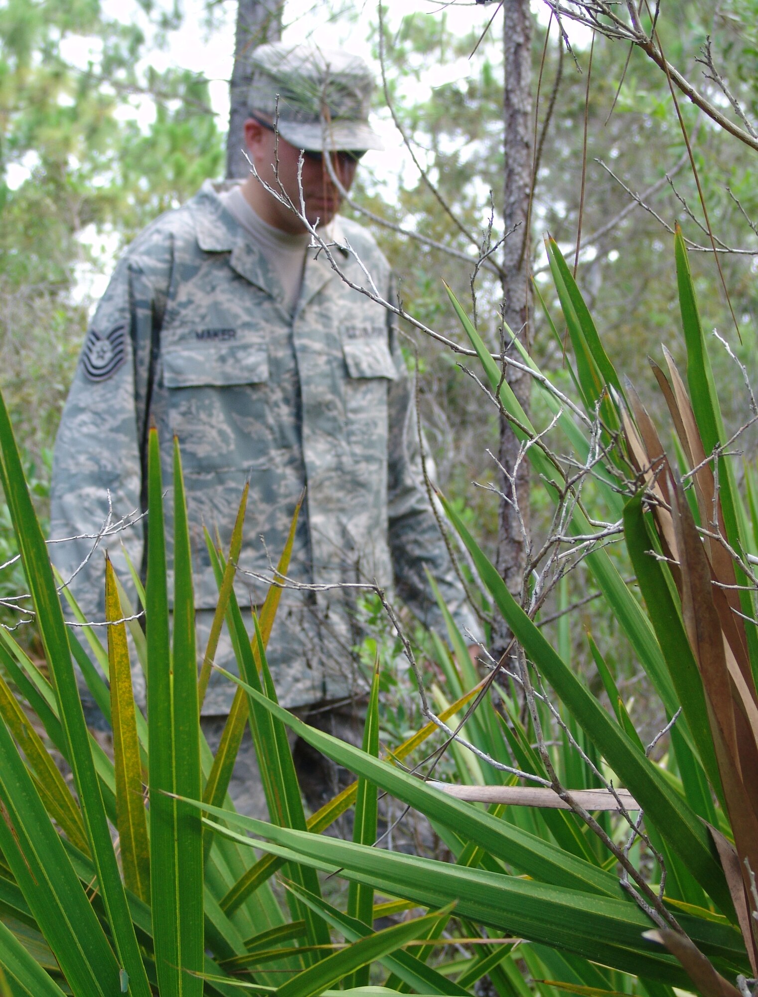 Tech. Sgt. Shannon Maker, 96th Logistics Readiness Squadron, scans a heavily-wooded area July 6 during a search for a man who went missing from the Crystal Bay Senior Living community in Sandestin. (Photo by Tech. Sgt. Brian Jones)