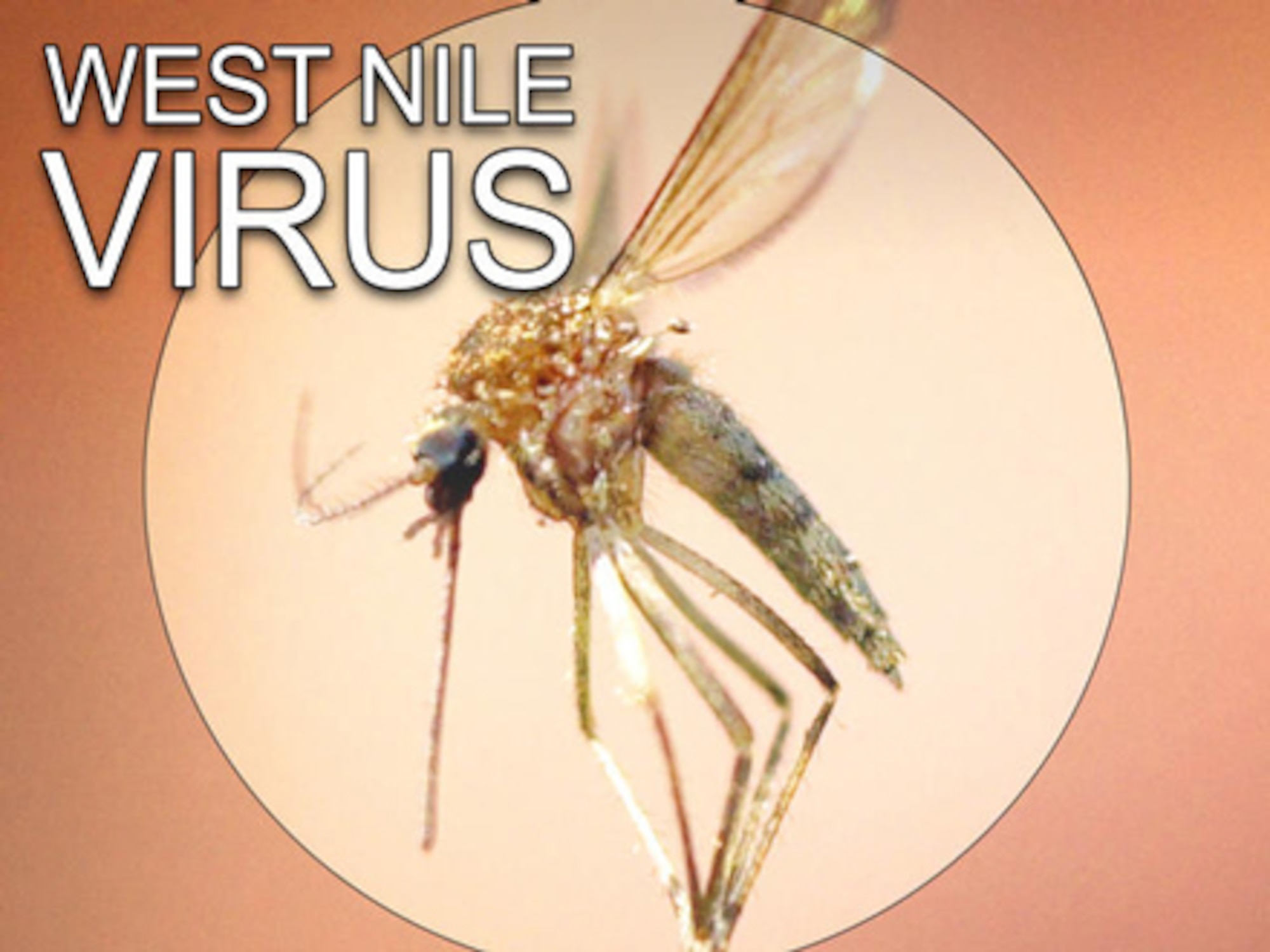 MINOT AIR FORCE BASE, N.D. -- West Nile Virus (WNV) is a potentially serious illness most commonly caused by the bite of an infected mosquito. (Courtesy graphic)