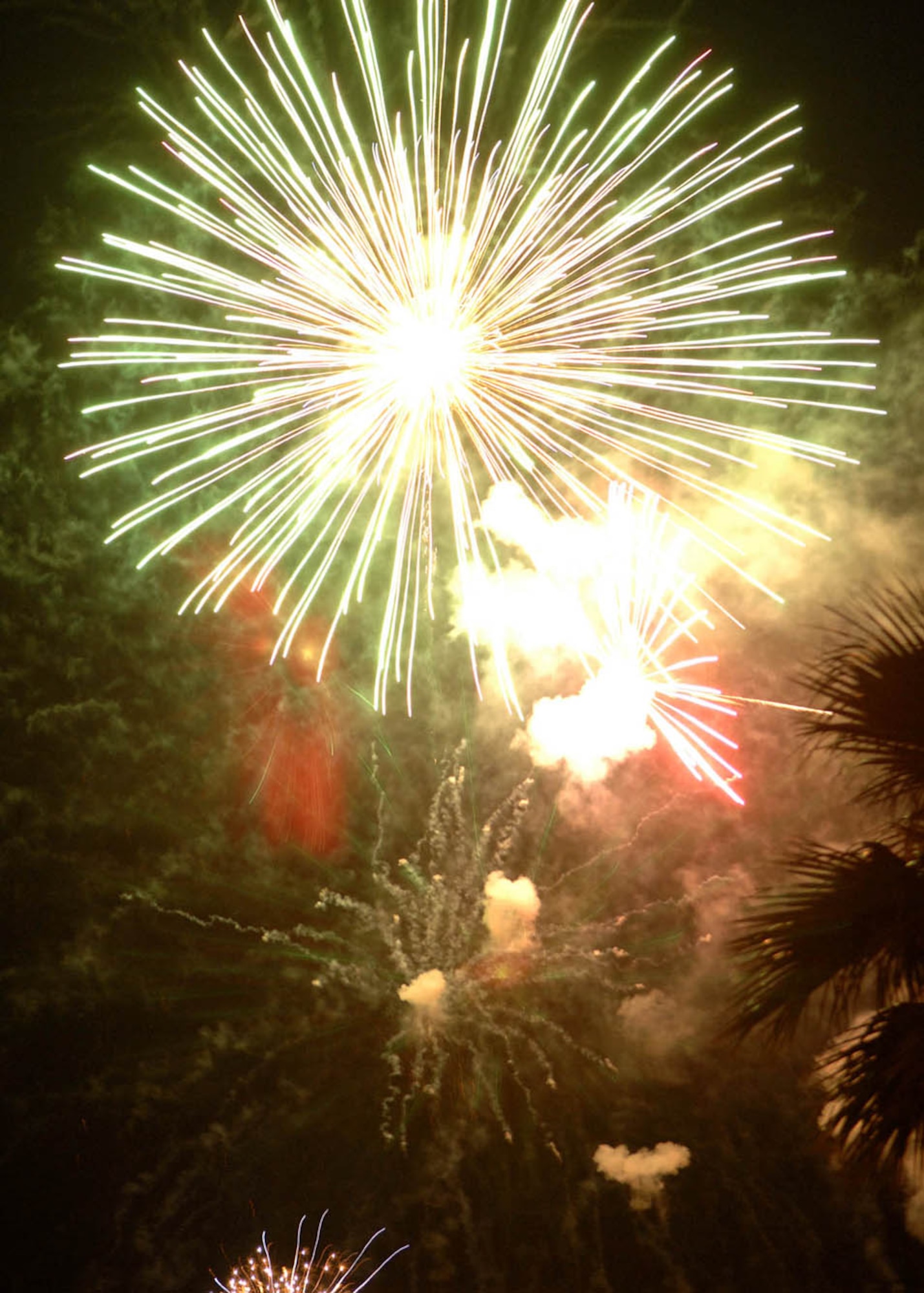 Fireworks explode over D-M during D-M’s annual Fourth of July celebration at Bama Park July 4.  Airman and their families came together to celebrate the holiday ending in the fireworks presentation.  (U.S. Air Force photo by Senior Airman Jacqueline Hawkins)
