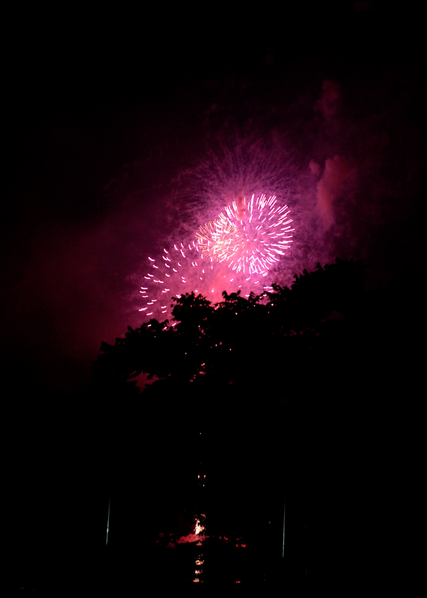 MISAWA AIR BASE, Japan -- Fireworks light up the night sky over Lake Ogawara July 4,.  Freedom Fest is held annually to give Misawa residents a chance to celebrate Independence Day away from the U.S.  (U.S. Air Force photo by Senior Airman Chad Strohmeyer)