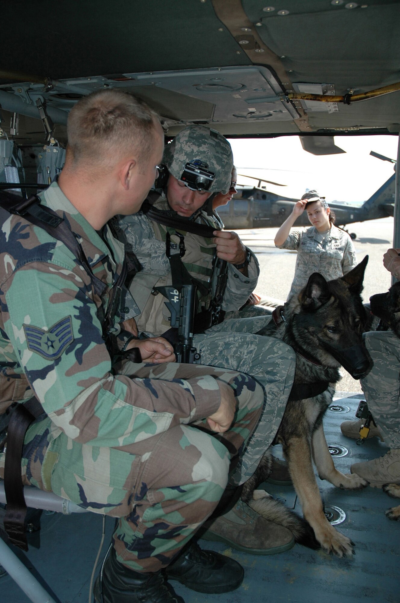 Students in the U.S. Air Force Expeditionary Center's Phoenix Warrior Training Course canine track learn about loading, unloading and flying aboard a Blackhawk helicopter July 8, 2008, on Fort Dix, N.J.  The instruction was part of training for the course where military working dog teams learn to fly aboard helicopters.  Phoenix Warrior is taught by the USAF EC's Expeditionary Operations School and 421st Combat Training Squadron preparing security forces for upcoming deployments.  (U.S. Air Force Photo/Staff Sgt. Paul R. Evans)