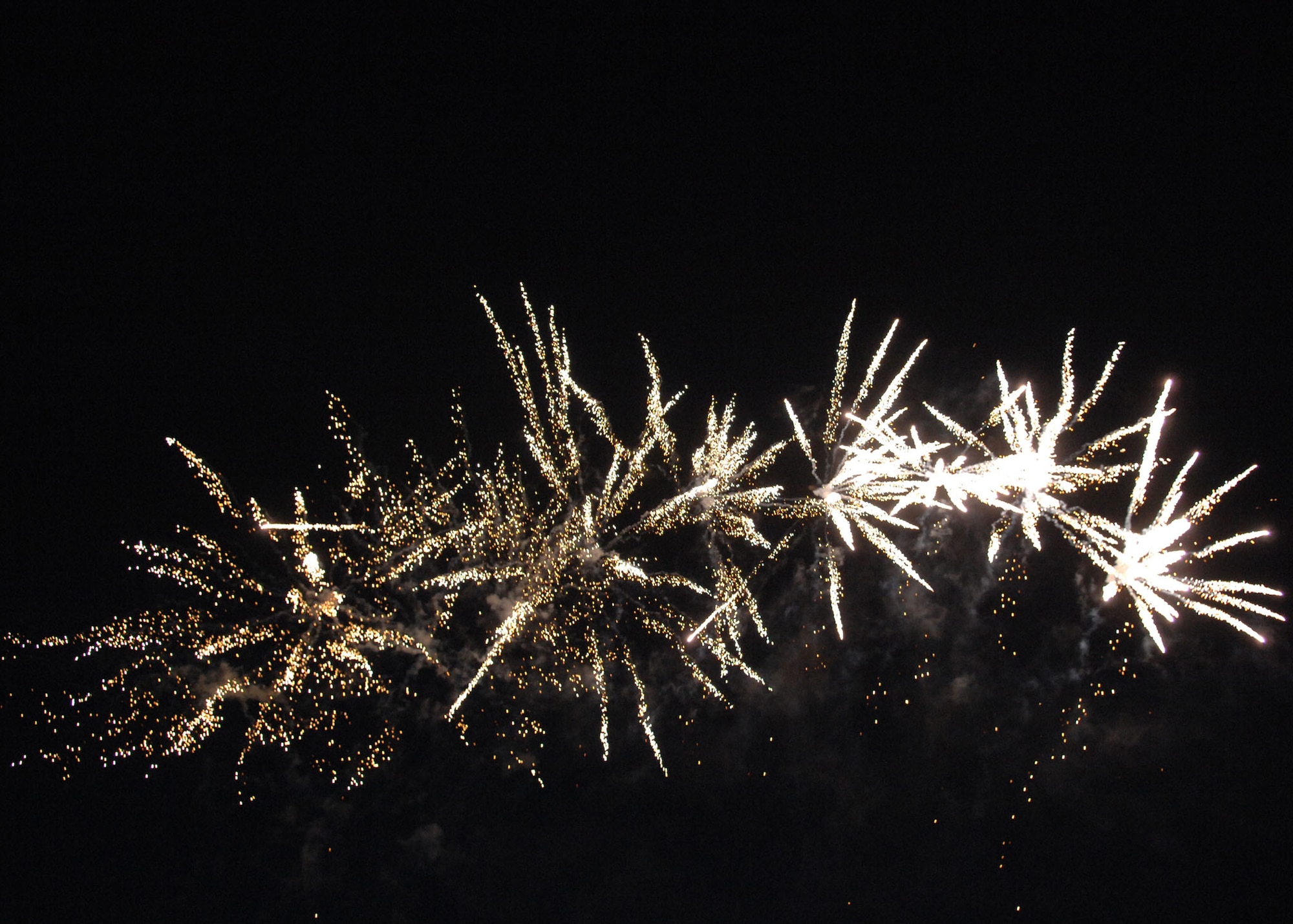 SEYMOUR JOHNSON AIR FORCE BASE - Fireworks light the skies during the Military Appreciation Day celebration here July 3. (U.S. Air Force photo by Airman 1st Class Rae Henline)