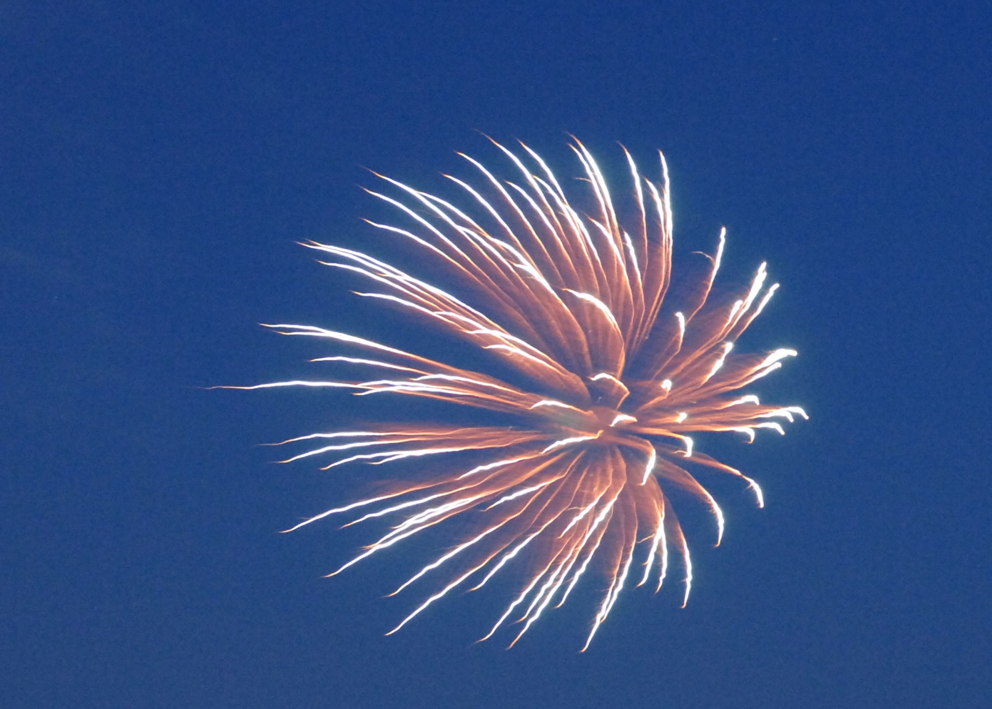 SEYMOUR JOHNSON AIR FORCE BASE - Fireworks light the skies during the Military Appreciation Day celebration here July 3. (U.S. Air Force photo by Airman 1st Class Rae Henline)