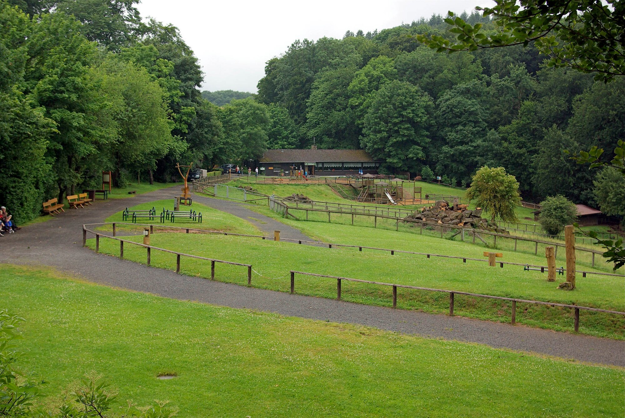 The Adler und Wolfspark in Pelm bei Gerolstein is home to over 150 animals, such as geese, rabbits, goats, wild boar, timber wolves and various falcons, owls and eagles.