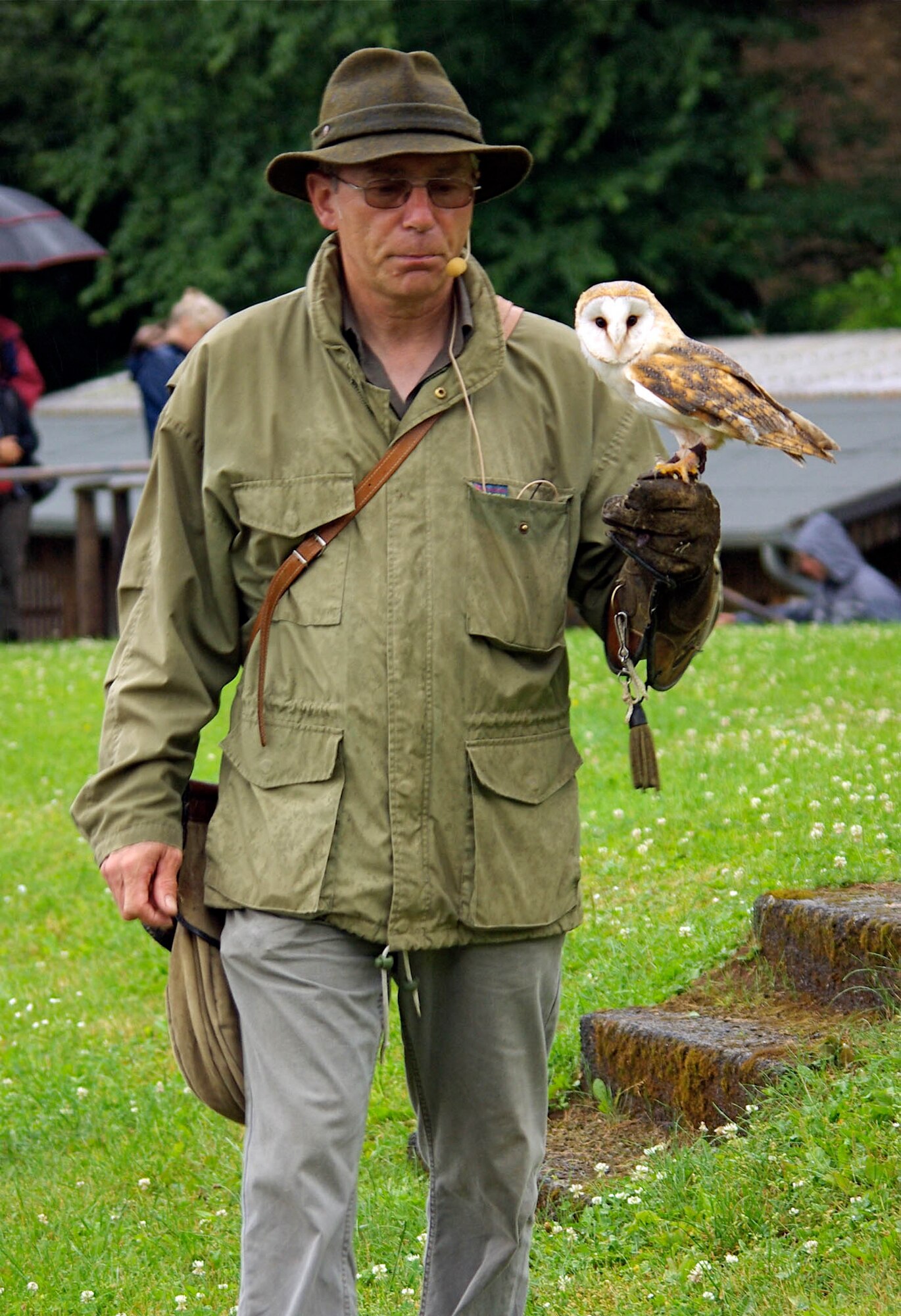 Herr Ludger Kluthausen walks in the rain as he describes the abilities of a Schleiereule (Barn Owl/Screech Owl) during the Adler und Wolfspark in Pelm bei Gerolstein bird show.  The Barn Owl is the most common species of owl, and one of the most widespread of all birds.  The Barn Owl can hiss like a snake, and when captured or cornered, it throws itself on its back and flails the sharp talons on its feet.