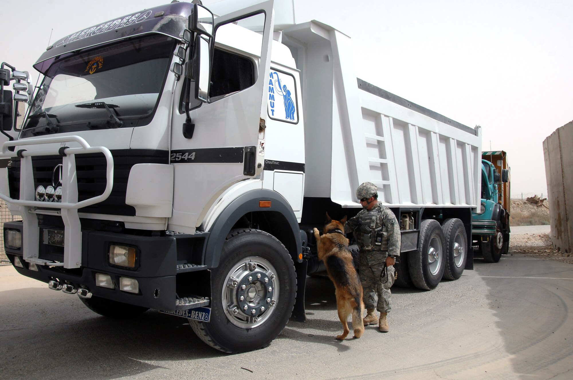 ALI BASE, Iraq -- Staff Sgt. Sean Neisen, military working dog handler, searches vehicles with his dog Goro E114 at the Vehicle Control Center here. Dog handlers are responsible for ensuring the safety and security of all coalition forces assigned here by searching vehicles that drive onto Contingency Operations Base Adder and Ali Base daily. Sergeant Neisen is assigned to the 407th Provost Marshals Office from Ramstein Air Base, Germany. (U.S. Air Force photo/Tech. Sgt. Sabrina Johnson)