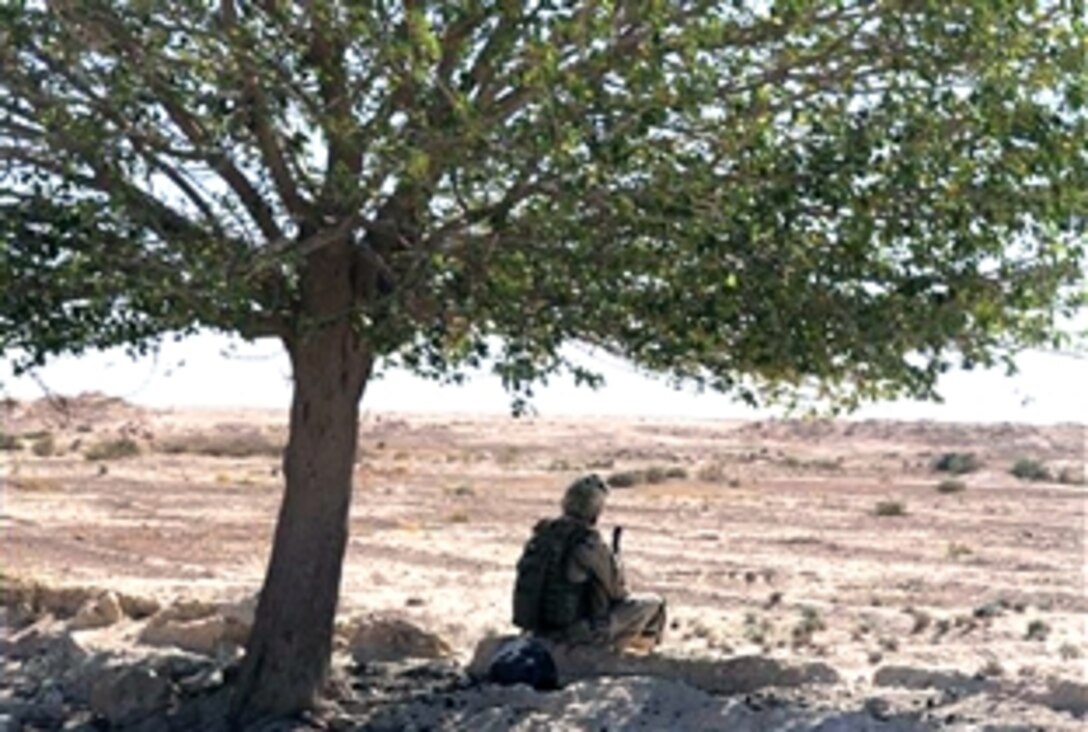 U.S. Navy Petty Officer 2nd Class Anson Rice, assigned to Detachment 2, Regimental Combat Team 5, sits in the shade beneath a tree on the Watah Peninsula, near Rawah, Iraq, July 11, 2008. Detachment 2 sailors are engaged in waterborne operations in Anbar Province to update census details, improve security, and deter insurgent activity.  