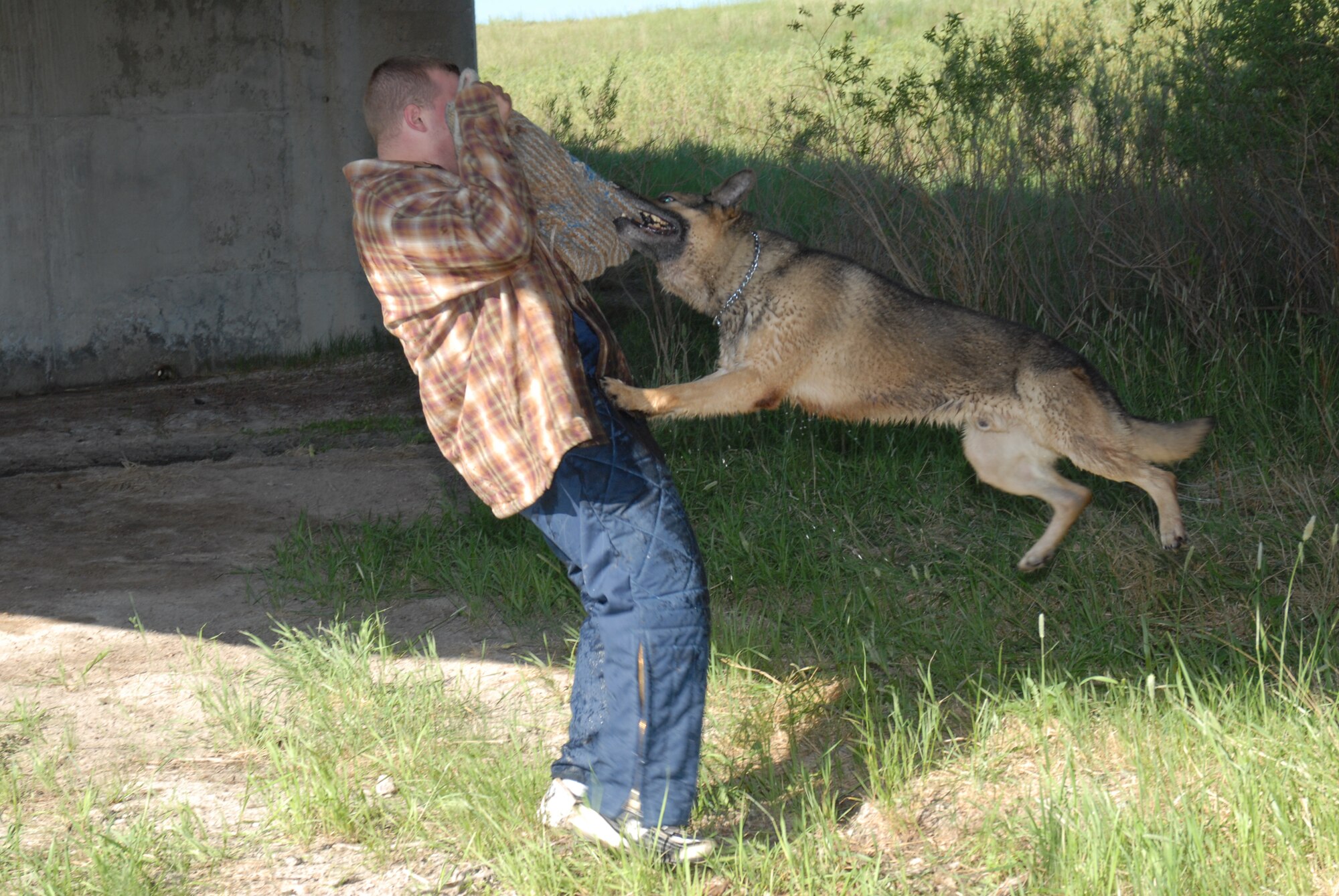 Staff Sgt. Larry Prewett, 90th Security Forces Squadron, tries to fend off military working dog Paco.