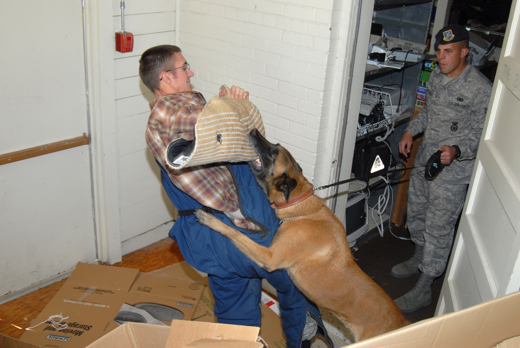 Senior Airman Daren Marshall, 90th Security Forces Squadron, and his military working dog Zak find simulated criminal Senior Airman Ryan Knopf, 90th SFS, hiding during a building search training scenario. Zak is a 6-year-old Belgian Malinois.