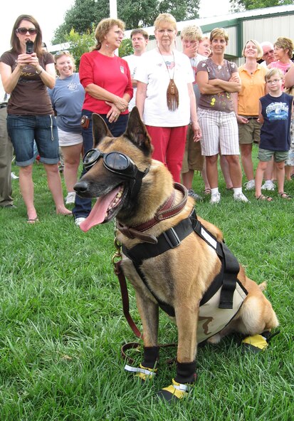 Scott, an 8-year-old Belgian Malinois military working dog assigned to the 88th Security Forces Squadron at Wright-Patterson Air Force Base, Ohio, models new goggles, booties and a cool vest. The Warren County, Ohio-based Clover Canines 4-H Club presented three of these outfits to the Air Force July 16. Scott and his handler, Staff Sgt. Melissa Osterbaan, will use the protective gear during an upcoming deployment to the Arabian Gulf region. (Air Force photo by Derek Kaufman)