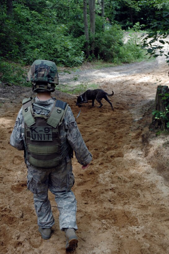 Staff Sgt. Kristyne Feldman and her military working dog, Berry, practice detection techniques during training in the Air Force Phoenix Warrior Training Course July 10 at Fort Dix, N.J. Phoenix Warrior is taught by members of the Air Force Expeditionary Center's Expeditionary Operations School and the 421st Combat Training Squadron. Sergeant Feldman is from Royal Air Force Lakenheath, England. (U.S. Air Force photo/Staff Sgt. Paul R. Evans) 