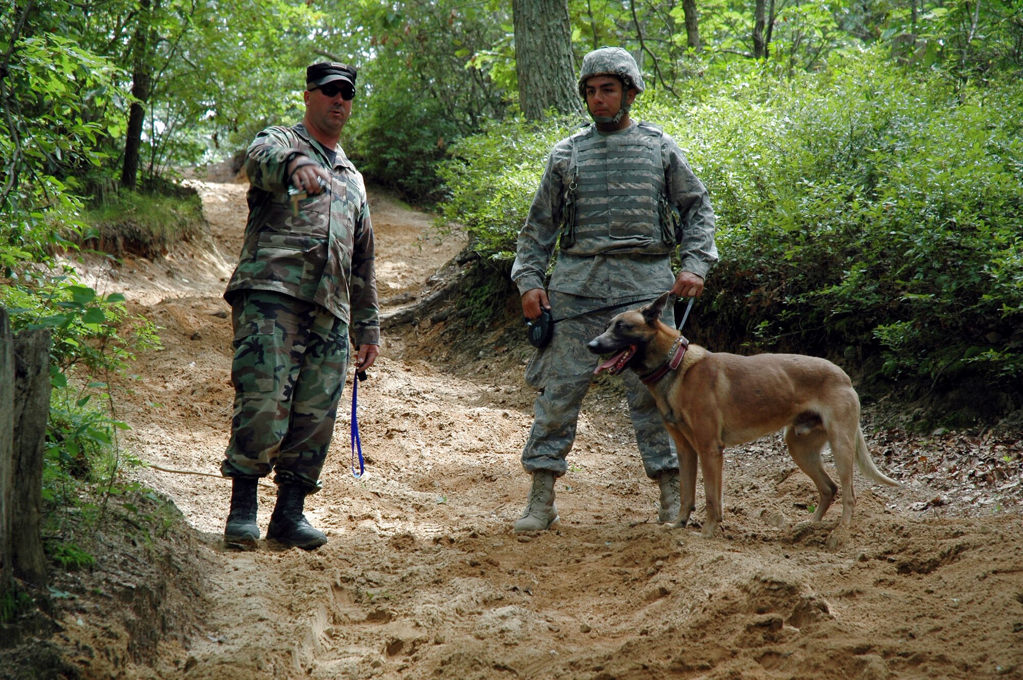 Tech. Sgt. Jeffrey Dean, instructor and course director for the Air Force Phoenix Warrior Training Course's canine track, shows Staff Sgt. Matthew Hernandez where to lead his military working dog Grant during detection training for Phoenix Warrior July 10, 2008, on a Fort Dix, N.J., range.  Tech. Sgt. Jeffrey Dean shows Staff Sgt. Matthew Hernandez where to lead his military working dog, Grant, during detection training for Phoenix Warrior July 10 at Fort Dix, N.J. Both Sergeant Tener and Filo, both from Royal Air Force Lakenheath, England, attended training in Phoenix Warrior in preparation for an upcoming deployment. Phoenix Warrior is taught by members of the Air Force Expeditionary Center's Expeditionary Operations School and 421st Combat Training Squadron. Sergeant Dean is an instructor and course director for the Air Force Phoenix Warrior Training Course's canine track. (U.S. Air Force photo/Staff Sgt. Paul R. Evans) 
