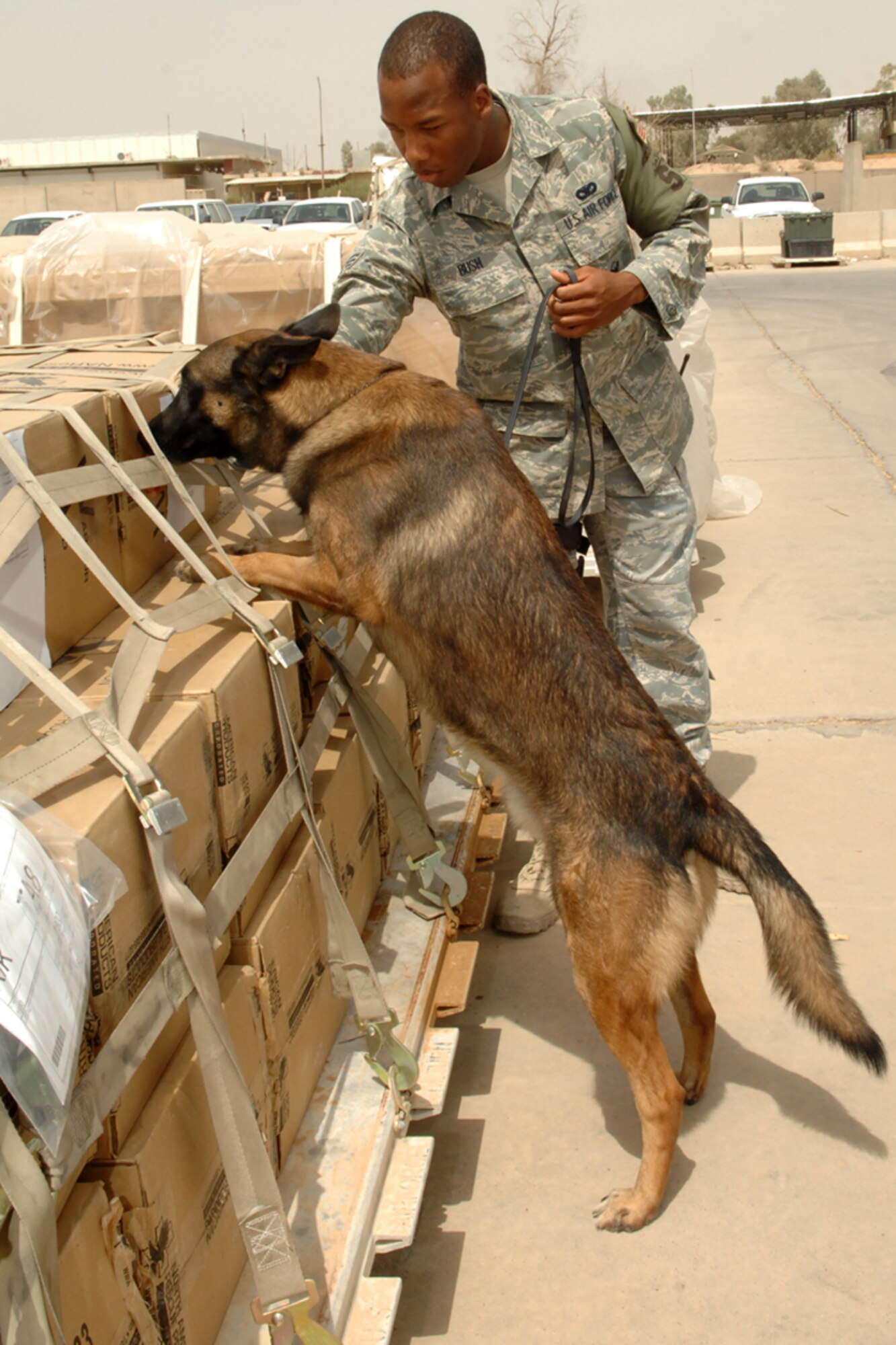 KIRKUK REGIONAL AIR BASE, IRAQ -- Senior Airman Mark Bush, 506th Expeditionary Security Forces Squadron K-9 handler, and Chukky, a bomb detection K-9, perform an aggressive defensive measure at base supply here July 21.  The team inspects nearly 424 vehicles and performs 24 ADM’s a week.  Airman Bush is deployed from Nellis Air Force Base, Nev. and calls Chicago, Ill. home.(U.S. Air Force photo/Senior Airman Randi Flaugh) 
