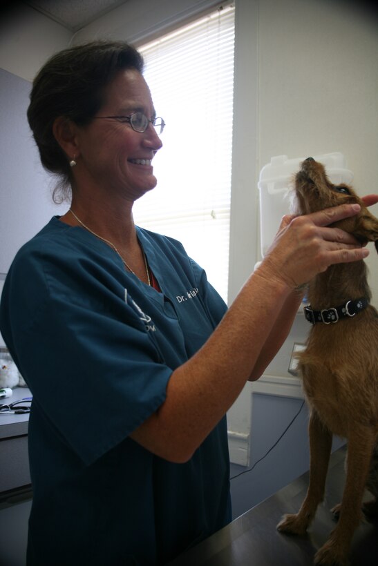 Dr. Adrian Boe, a veterinarian at the Cherry Point Veterinary Clinic, performs a check-up on Soldier as he prepares to deploy to Okinawa, Japan, with his owner.