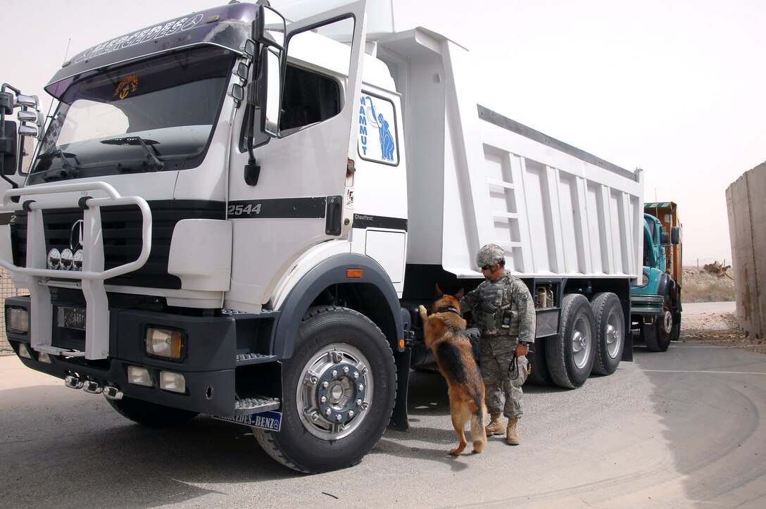 Staff Sgt. Sean Neisen searches vehicles with his dog, Goro E114, July 8 at the Vehicle Control Center at Ali Base, Iraq. Dog handlers are responsible for ensuring the safety and security of all coalition forces assigned here by searching vehicles that drive onto Contingency Operations Base Adder and Ali Base daily. Sergeant Neisen is a military working dog handler deployed to the 407th Provost Marshal Office from Ramstein Air Base, Germany. (U.S. Air Force photo/Tech. Sgt. Sabrina Johnson) 
