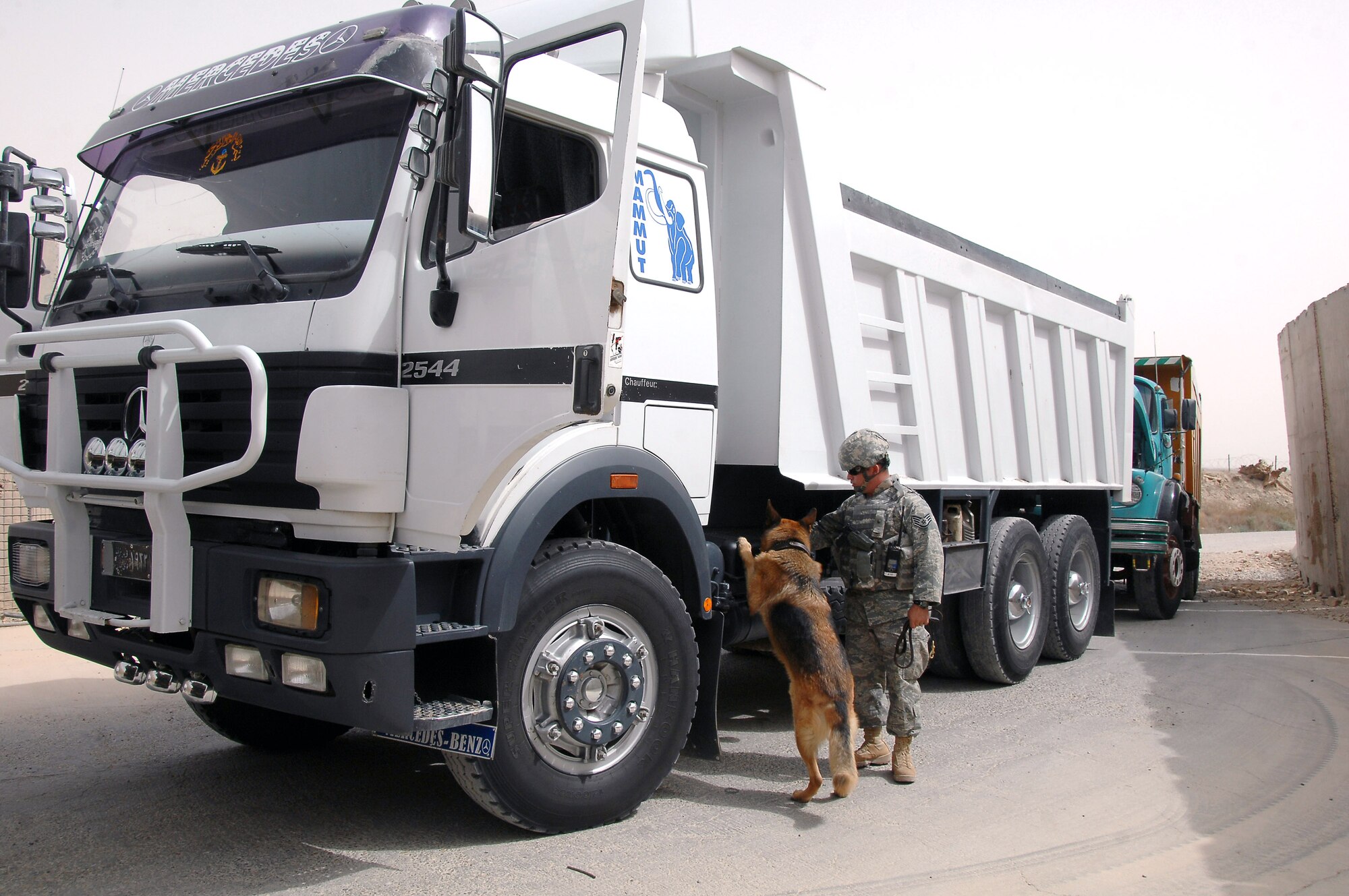 Staff Sgt. Sean Neisen searches vehicles with his dog, Goro E114, July 8 at the Vehicle Control Center at Ali Base, Iraq. Dog handlers are responsible for ensuring the safety and security of all coalition forces assigned here by searching vehicles that drive onto Contingency Operations Base Adder and Ali Base daily. Sergeant Neisen is a military working dog handler deployed to the 407th Provost Marshal Office from Ramstein Air Base, Germany. (U.S. Air Force photo/Tech. Sgt. Sabrina Johnson) 
