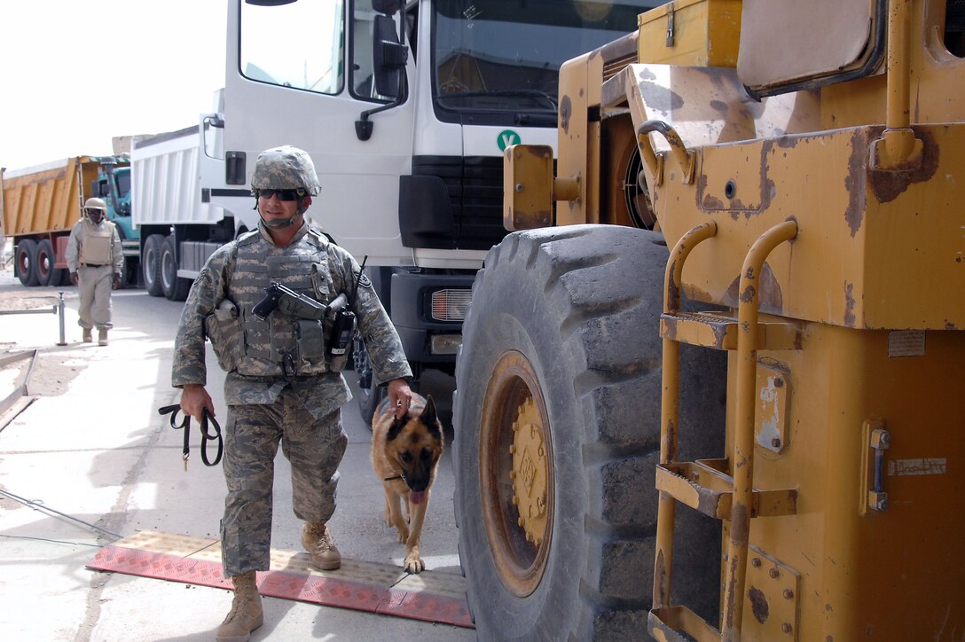 Staff Sgt. Sean Neisen searches vehicles with his dog, Goro E114, July 8 at the Vehicle Control Center at Ali Base, Iraq. Dog handlers are responsible for ensuring the safety and security of all coalition forces assigned here by searching vehicles that drive onto Contingency Operations Base Adder and Ali Base daily. Sergeant Neisen is a military working dog handler deployed to the 407th Provost Marshal Office from Ramstein Air Base, Germany. (U.S. Air Force photo/Tech. Sgt. Sabrina Johnson) 
