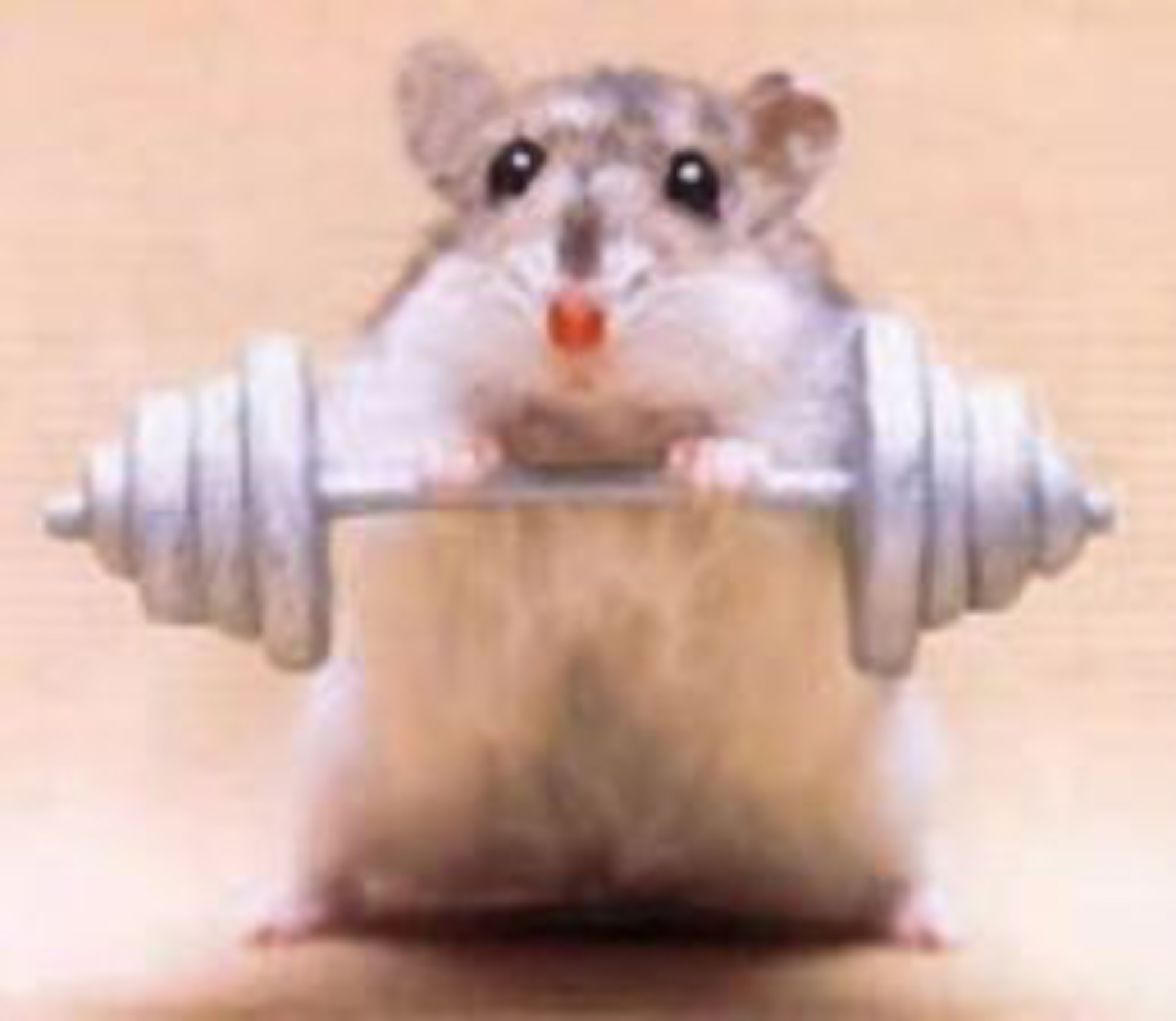 Safe, Enjoyable Strength Training At The Mcadoo Fitness Center > Minot Air  Force Base > Article Display