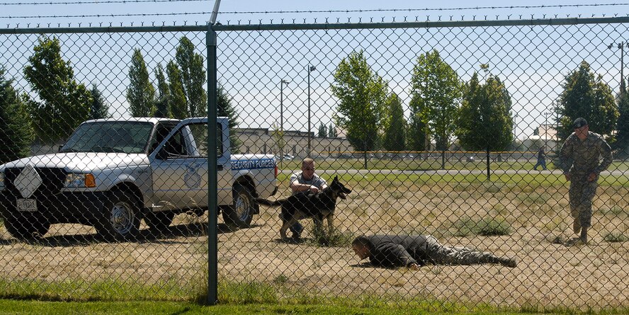 FAIRCHILD AIR FORCE BASE, Wash. – With the help of Army Staff Sgt. David Jordan, 92nd Security Forces Squadron members Tech. Sgt. Brandon Tillman and Senior Airman Phillip Lonzo demonstrate a K-9 exercise during the honorary commander’s tour here July 19. The honorary commanders toured several 92nd Mission Support Group agencies throughout the day. (U.S. Air Force photo / Senior Airman Eunique Stevens)