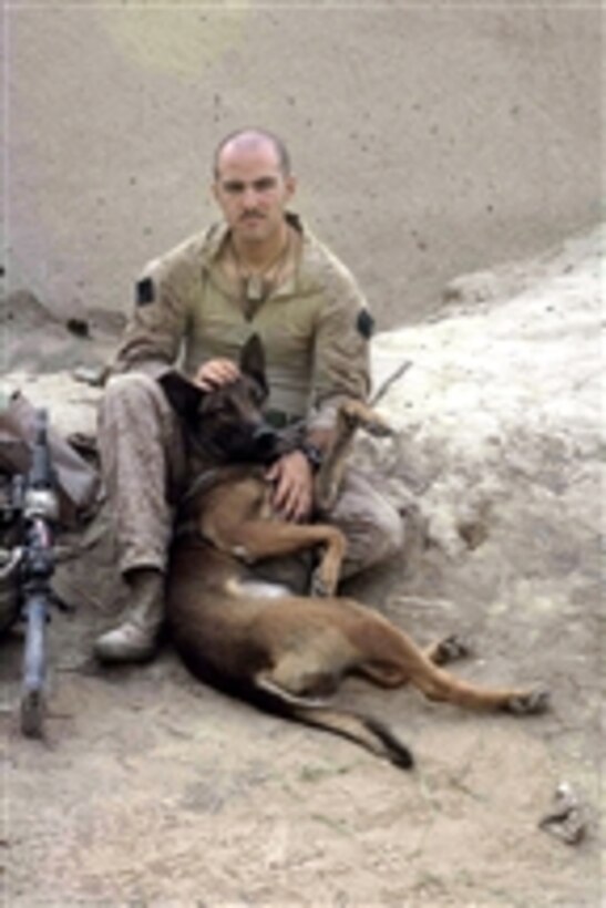 A U.S. Marine serving with Charlie Company, 1st Battalion, 6th Marine Regiment, 24th Marine Expeditionary Unit, NATO, International Security Assistance Force takes a rest with his military working dog following a foot patrol and search operation near Garmsir in the Helmand province of Afghanistan on June 27, 2008.  