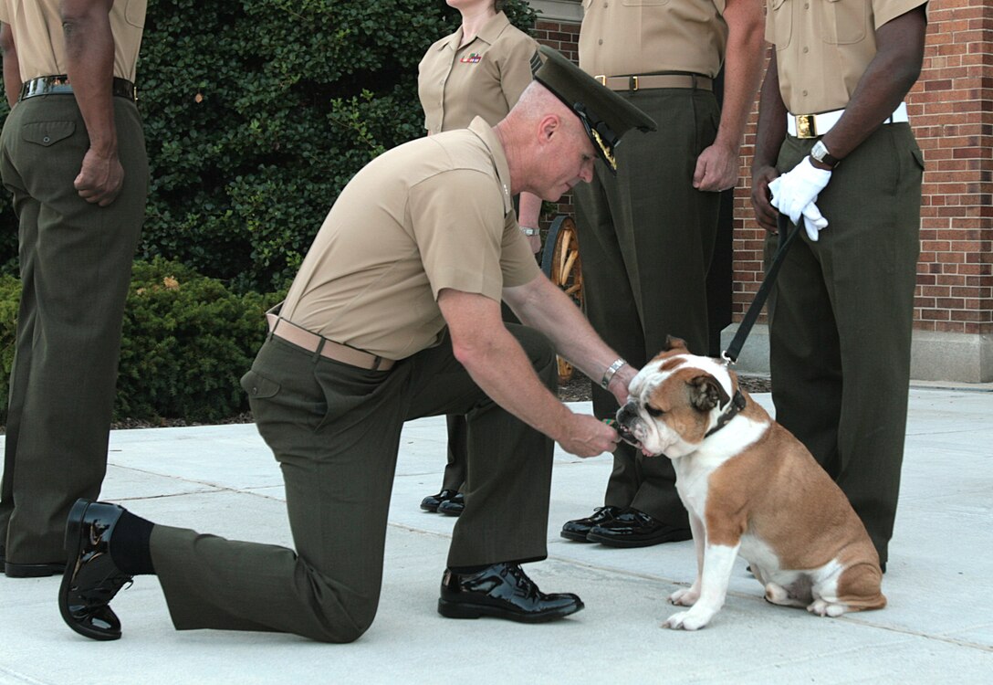 Col. W. Blake Crowe, commanding officer of Marine Barracks Washington, pins the Navy and Marine Corps Achievement Medal on Sgt. Chesty XII, the former mascot of the Barracks, during his retirement ceremony in Washington, July 25.